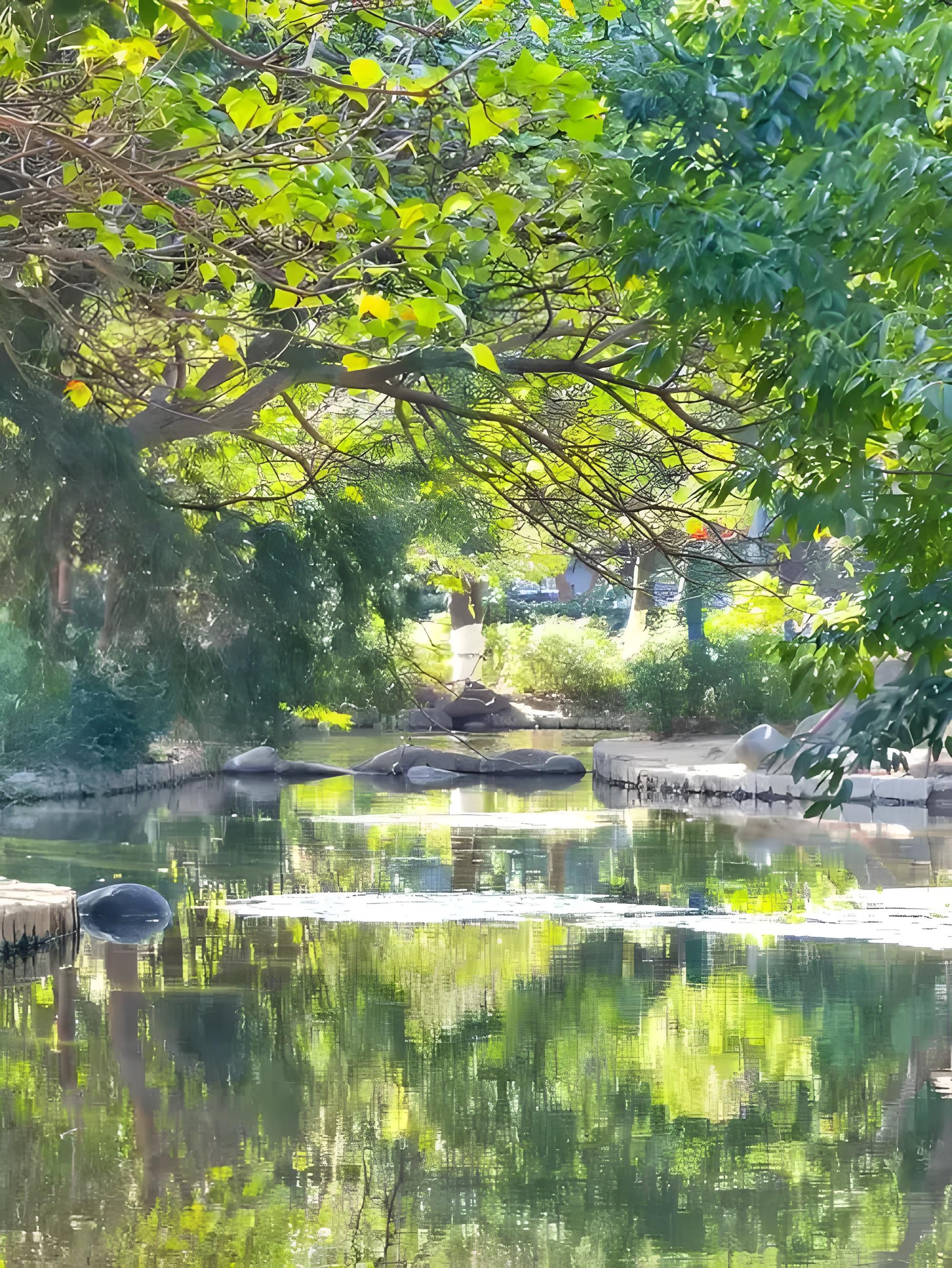 鸳鸯池公园旅行图片 3