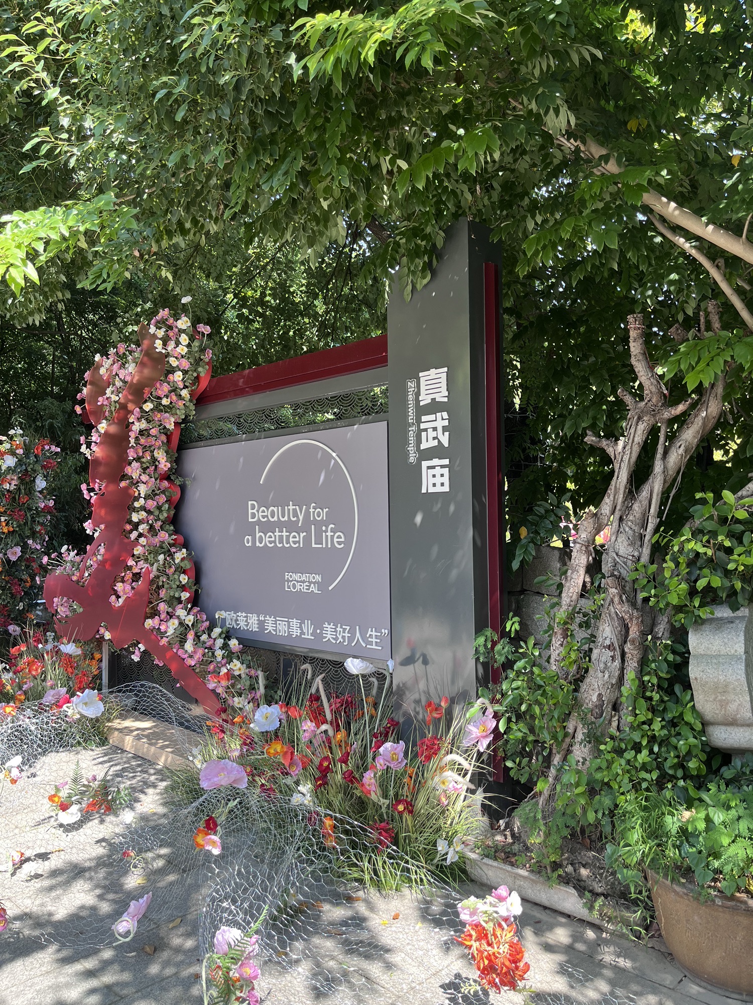 真武庙实景照片