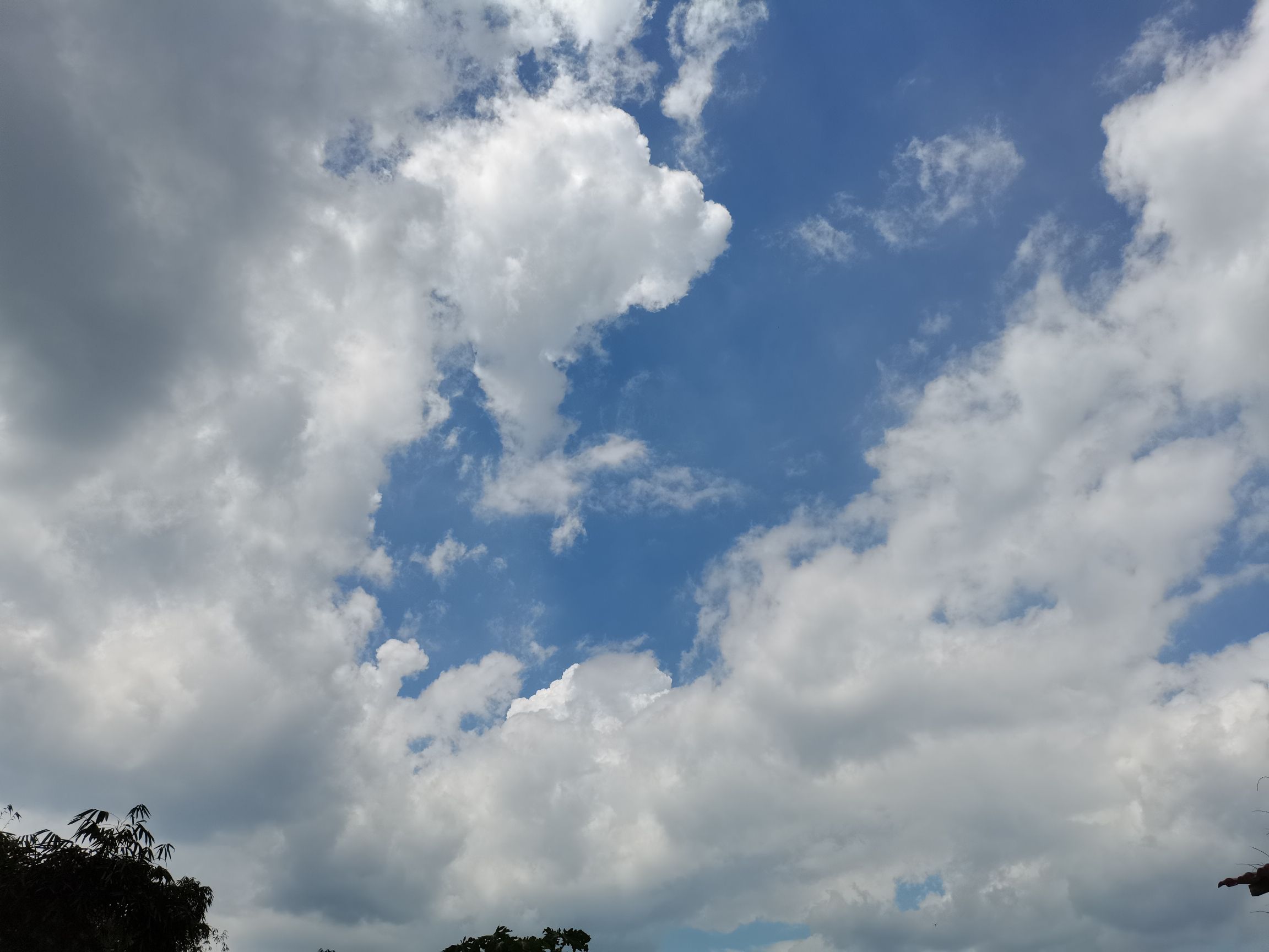 青山湾旅游区旅行图片 3