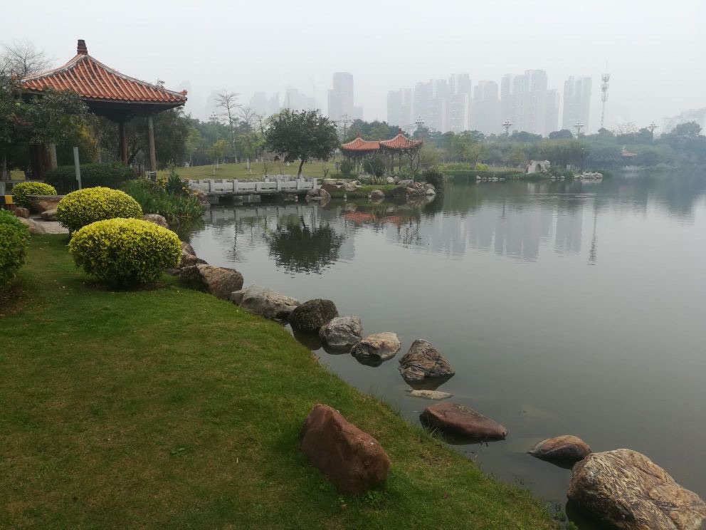 竹树下公园旅行图片 1