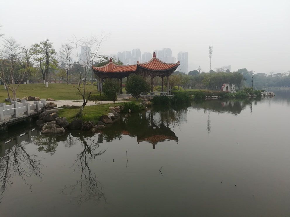 竹树下公园旅行图片 3