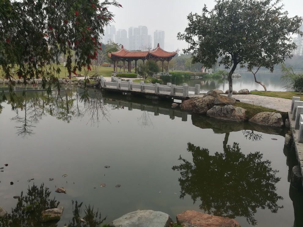 竹树下公园旅行图片 2