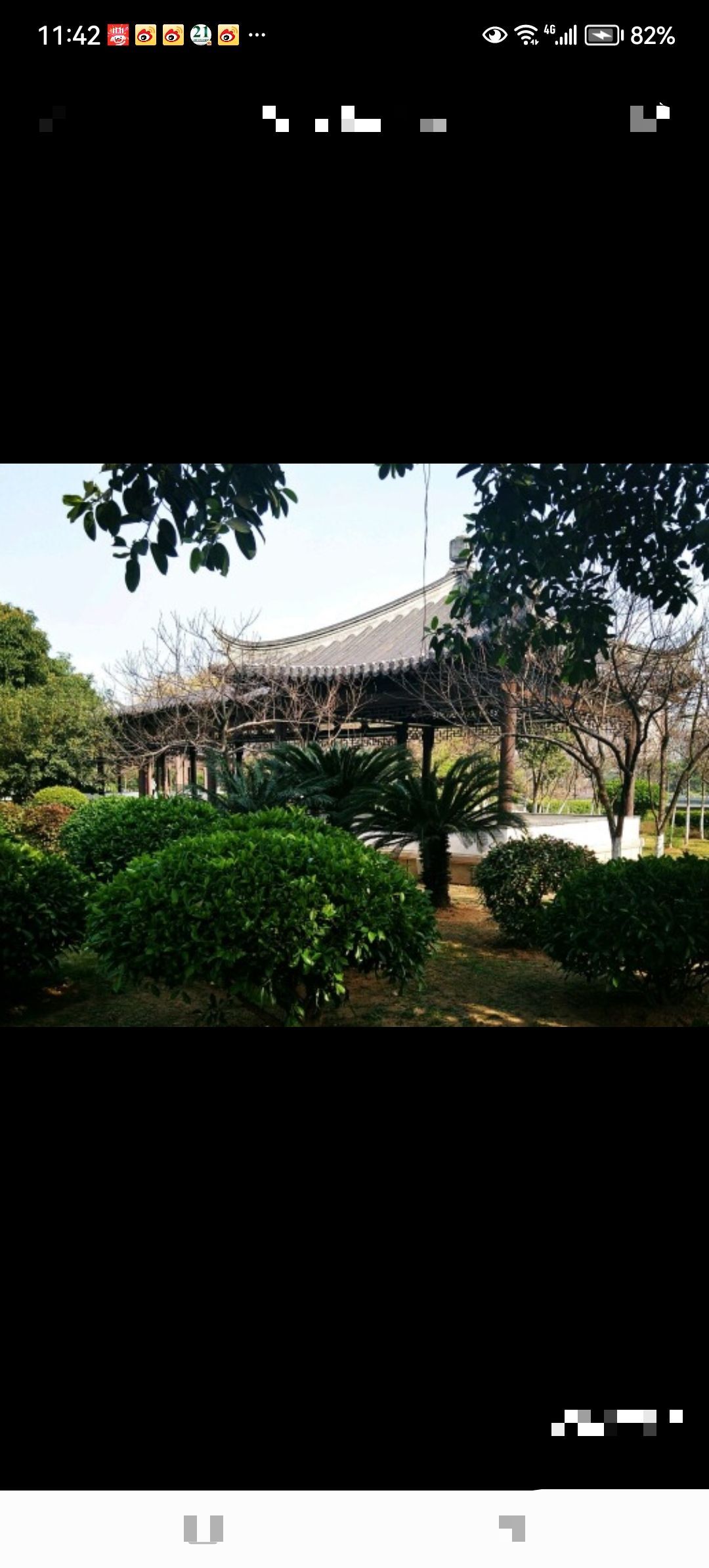 江滨公园旅行图片 3