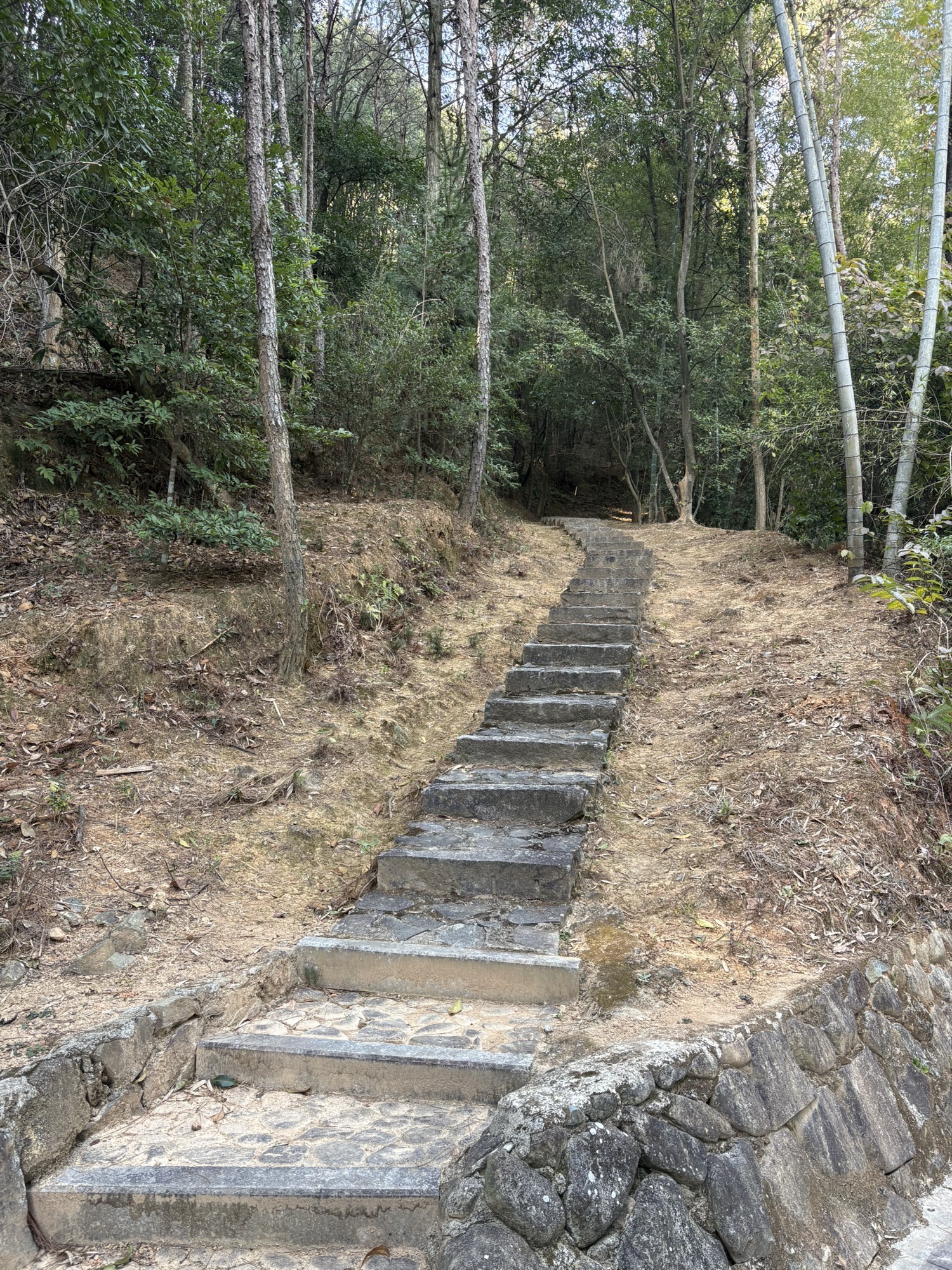 德化唐寨山森林公园旅行图片 1