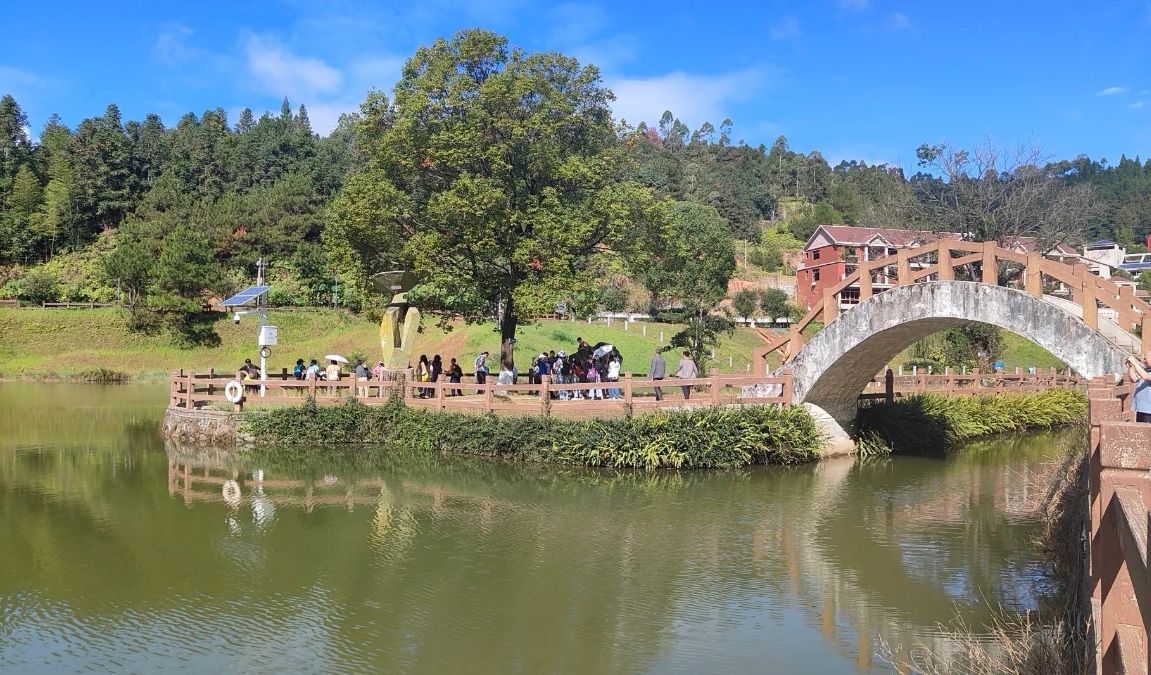 德化唐寨山森林公园旅行图片 2