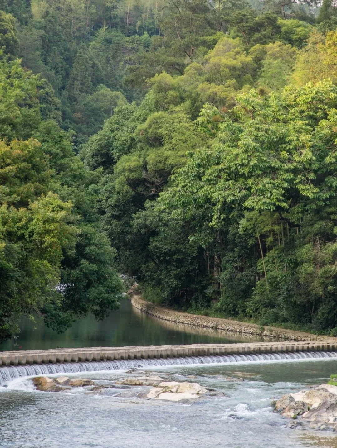国宝云龙谷旅行图片 2