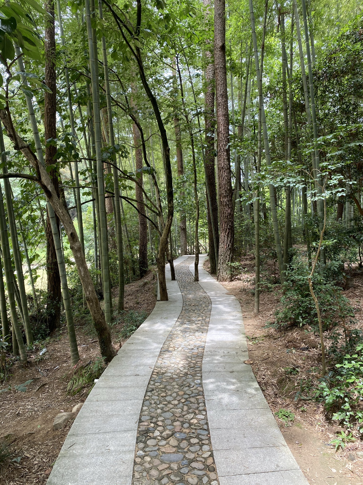 国宝云龙谷旅行图片 1
