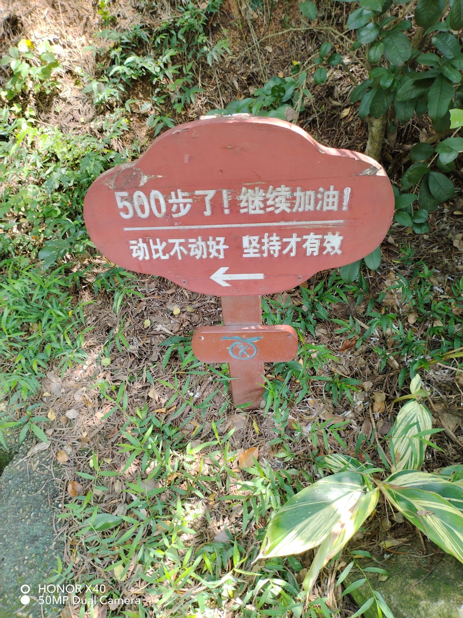 郑成功公园旅行图片 3