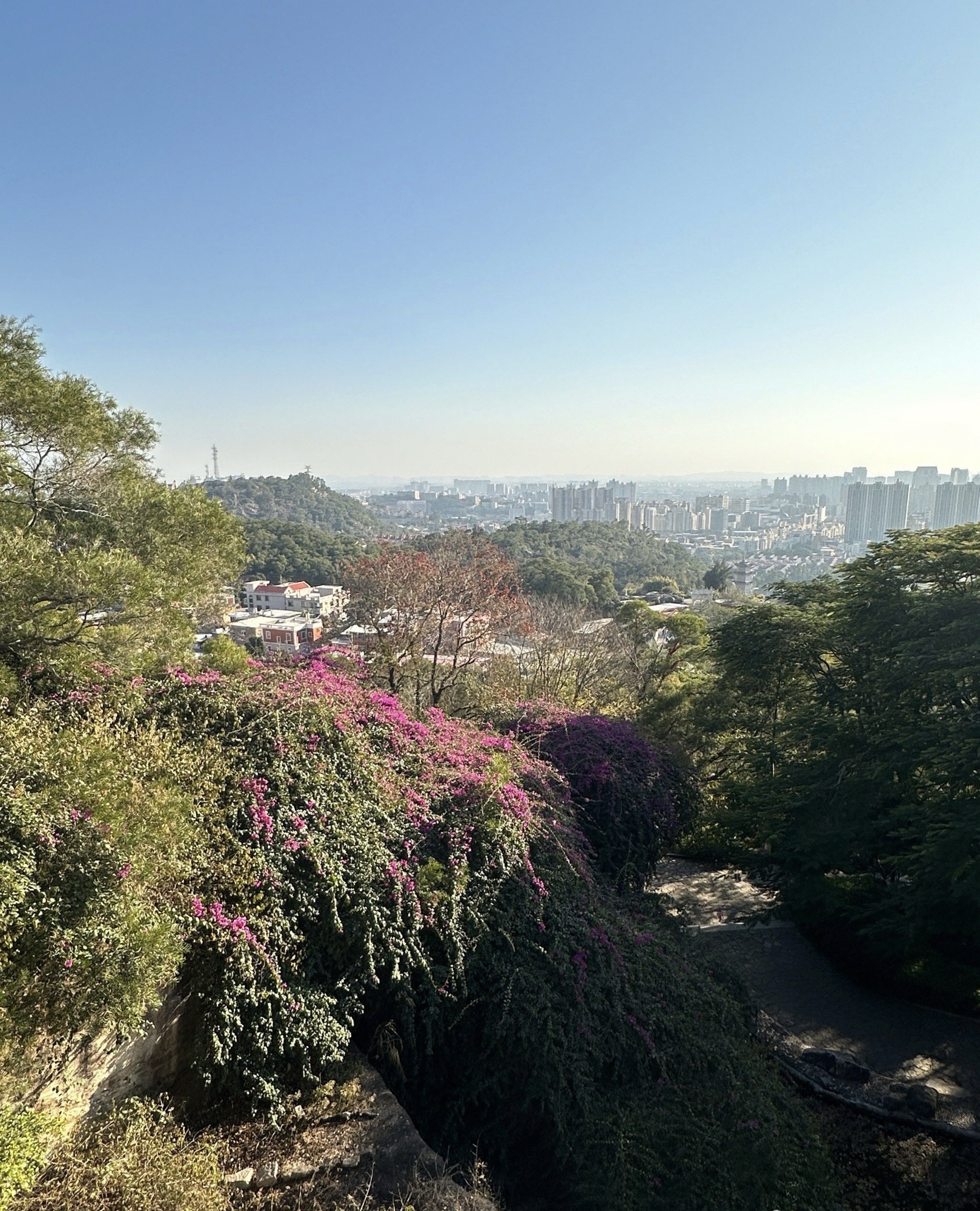 郑成功公园旅行图片 2