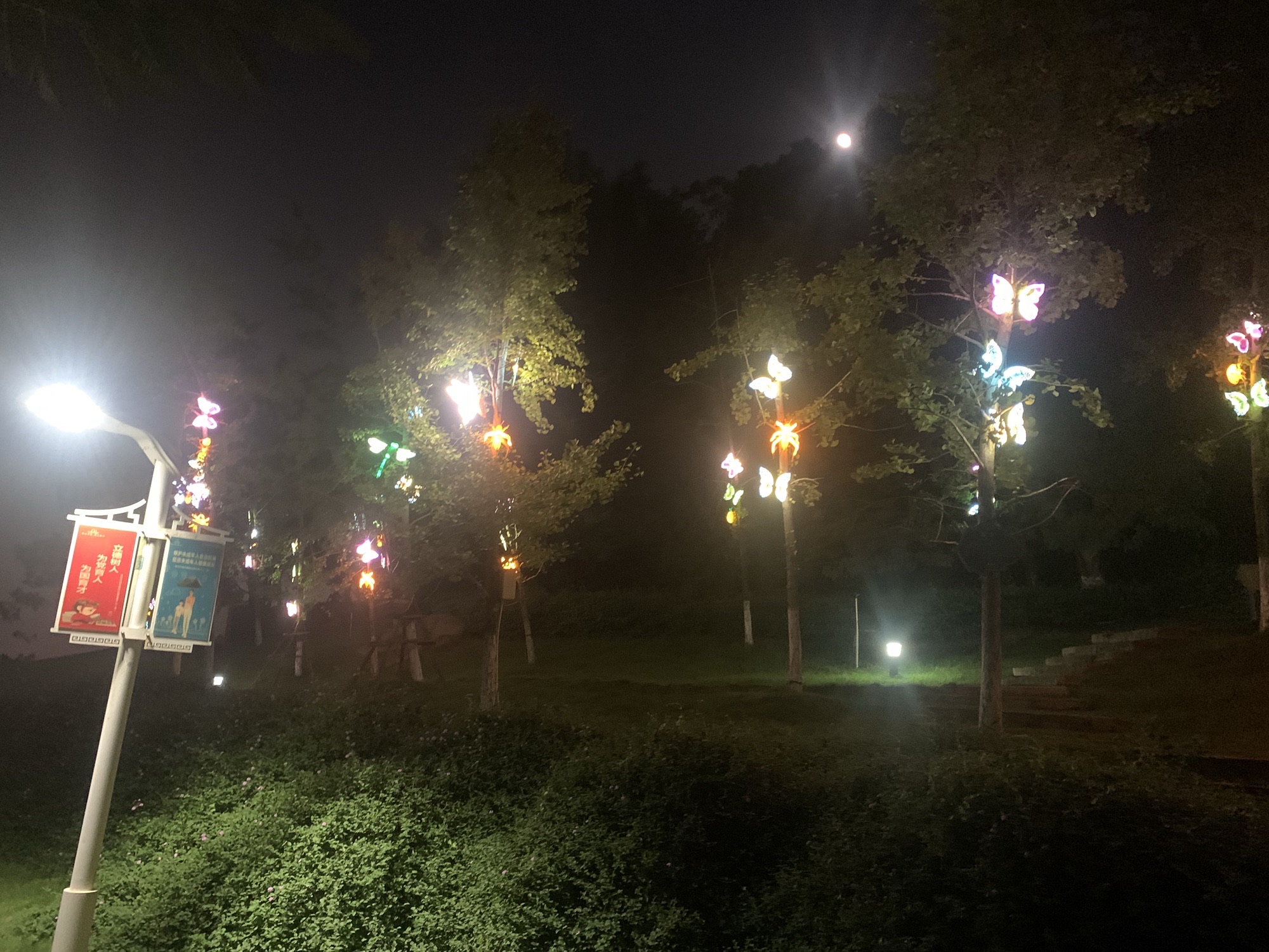 郑成功公园旅行图片 2