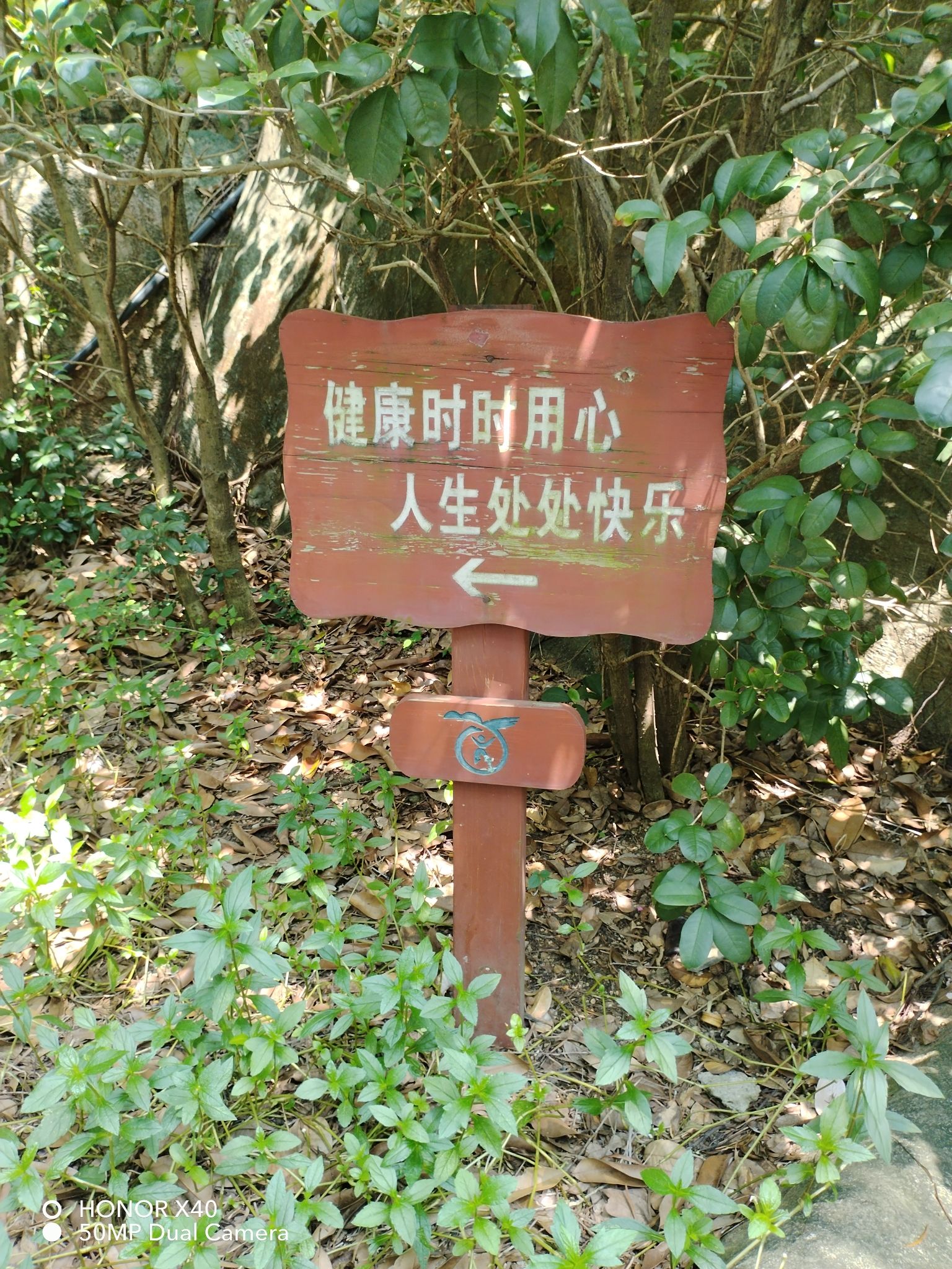 郑成功公园旅行图片 2