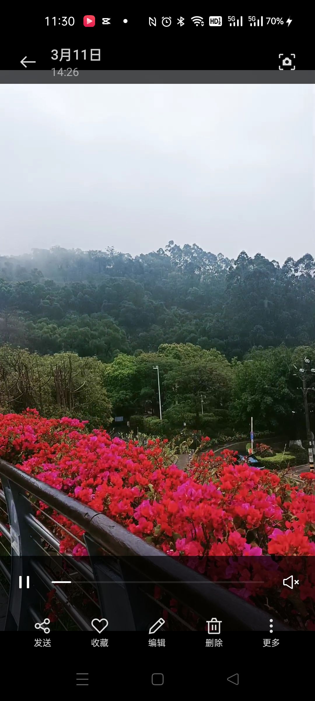 郑成功公园旅行图片 1