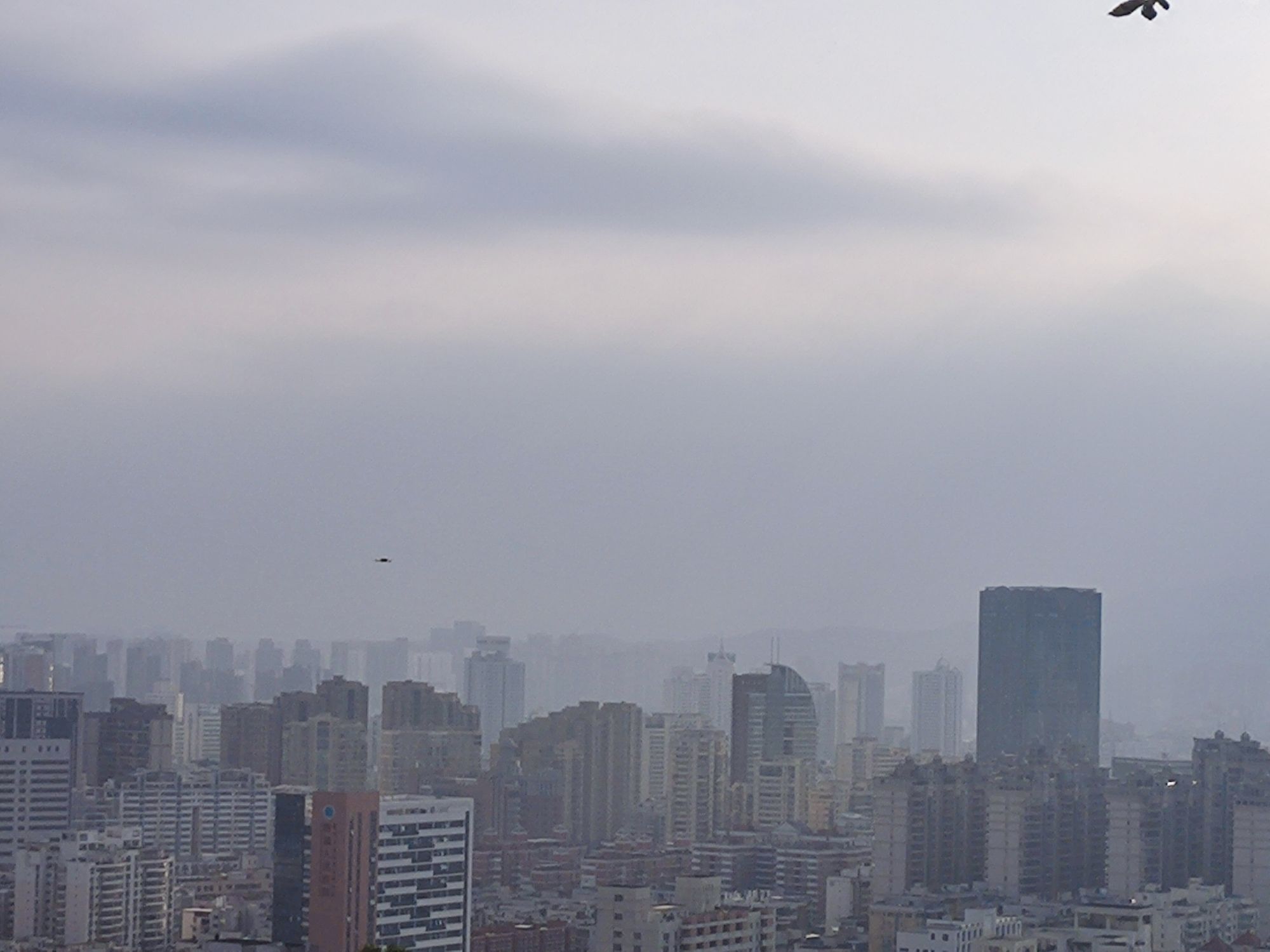 郑成功公园旅行图片 1