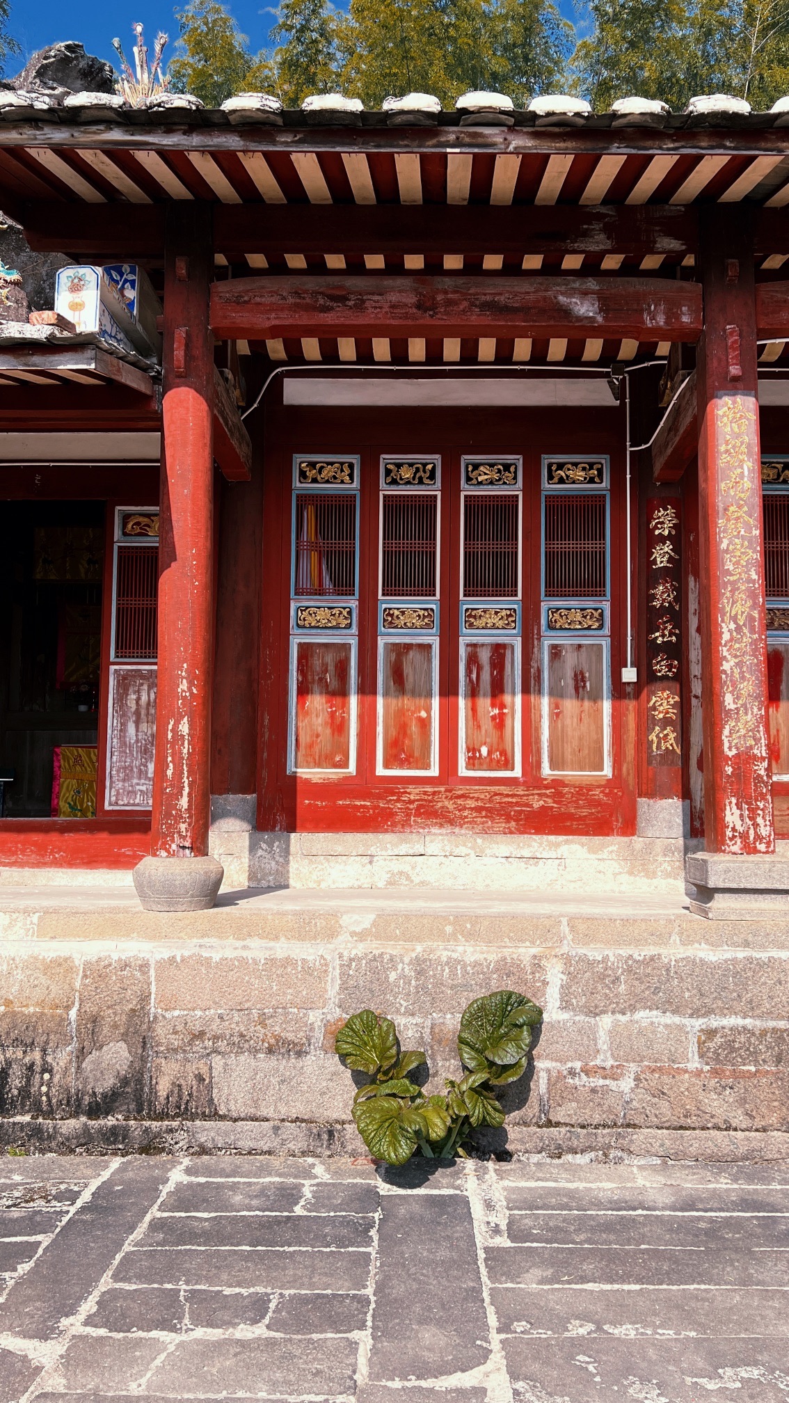 狮子岩旅行图片 2