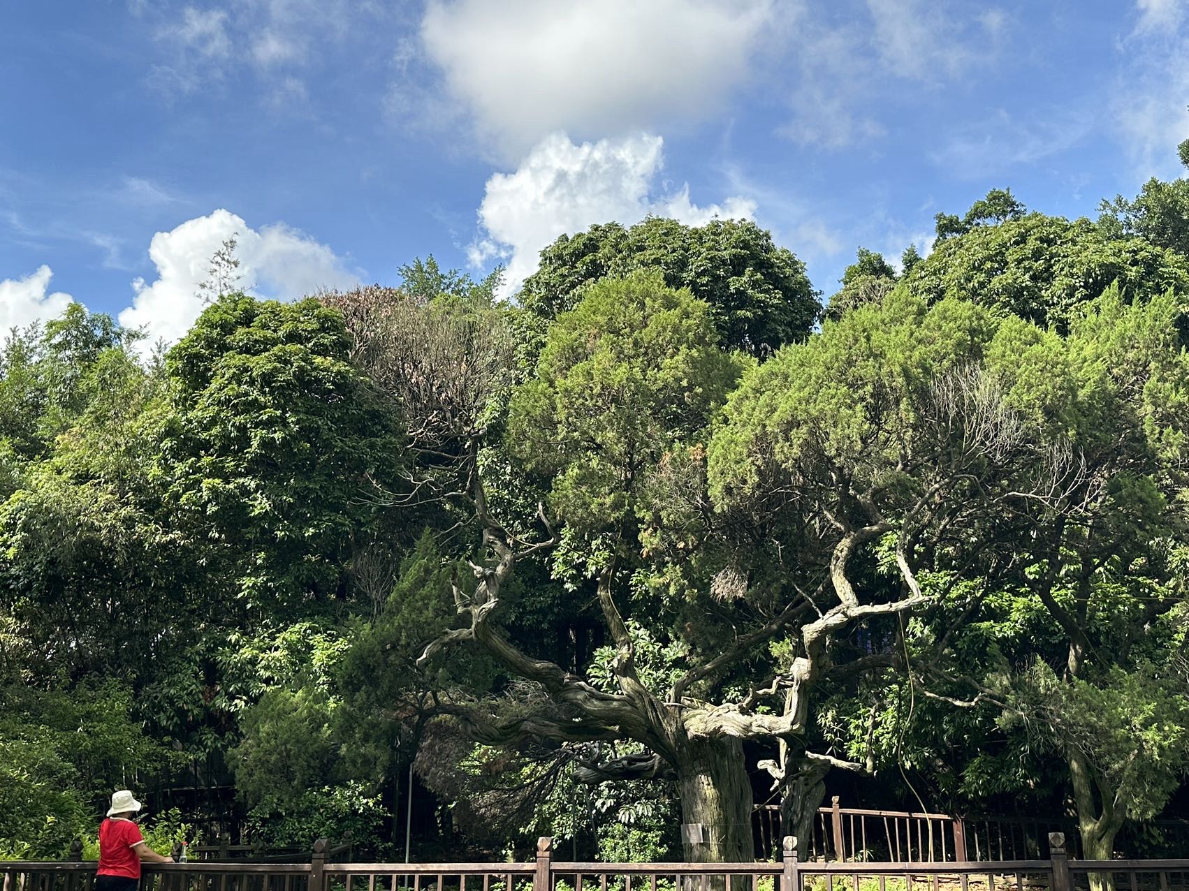 草庵摩尼教遗址公园旅行图片 2