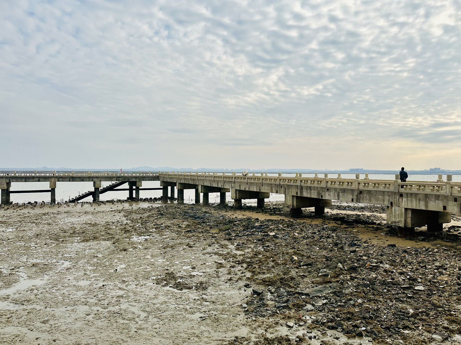 泉州滨海公园旅行图片 2