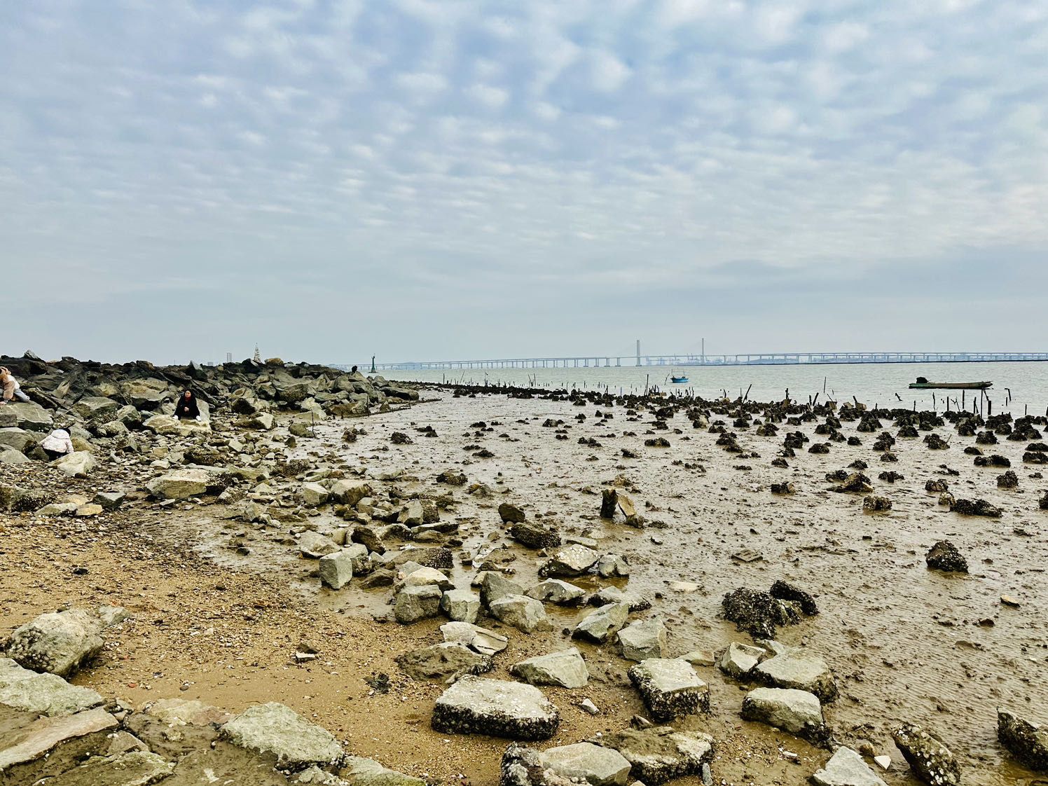 泉州滨海公园旅行图片 2
