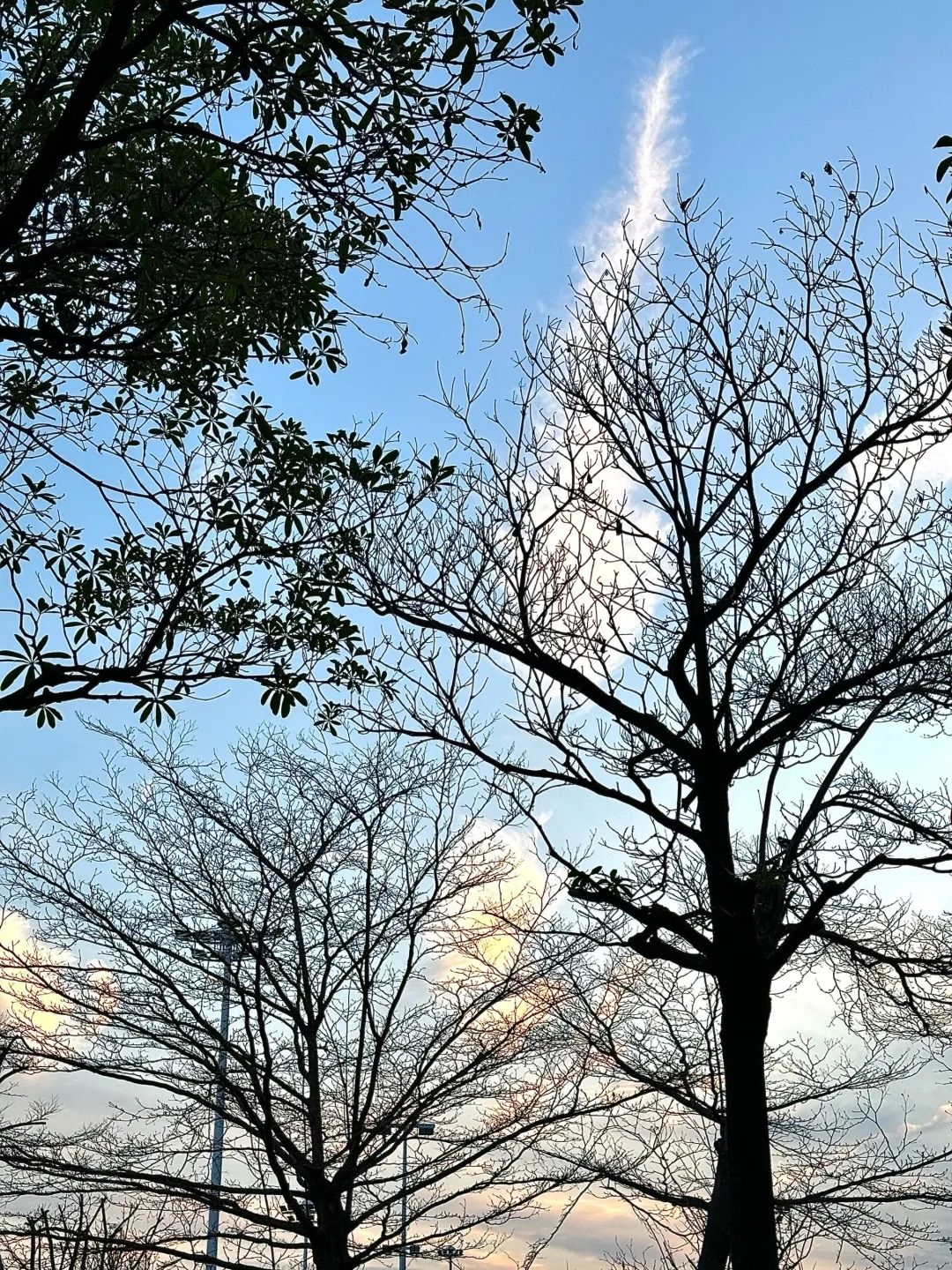 泉州滨海公园旅行图片 3