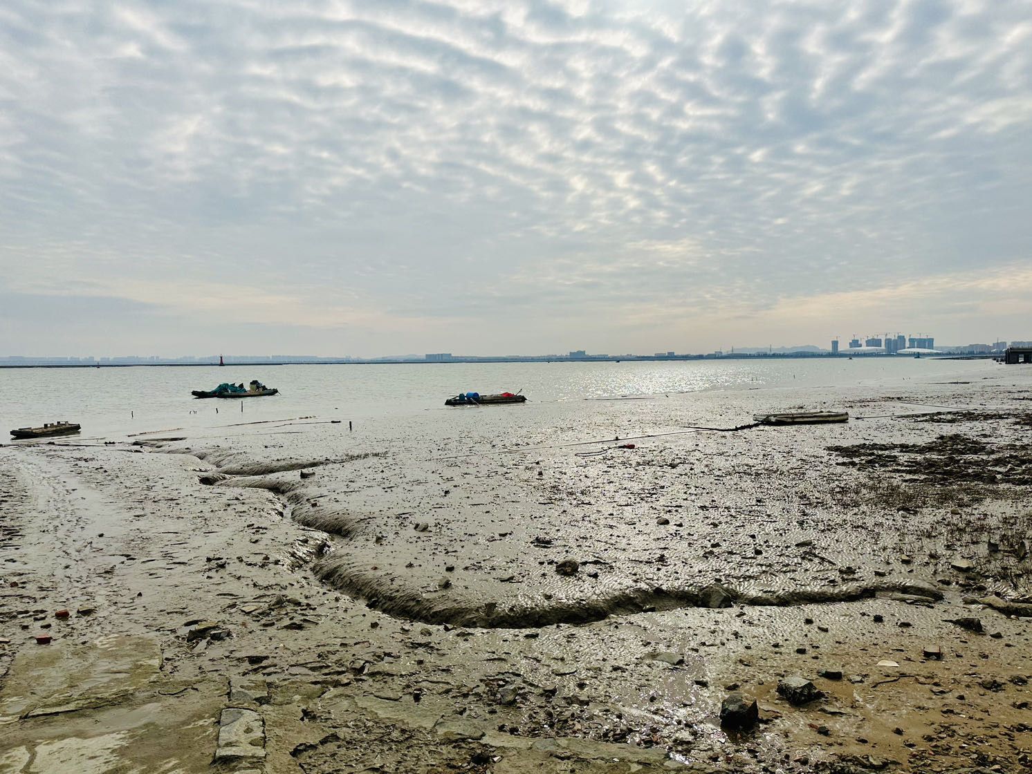 泉州滨海公园旅行图片 3