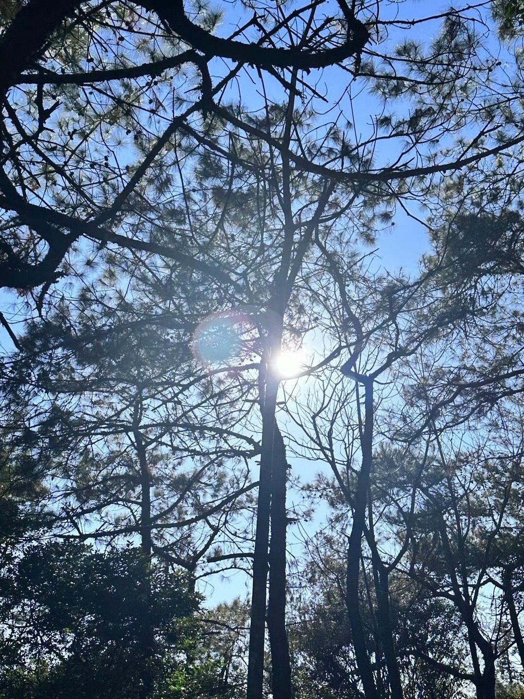 南安·仙境天柱山旅游度假区旅行图片 3