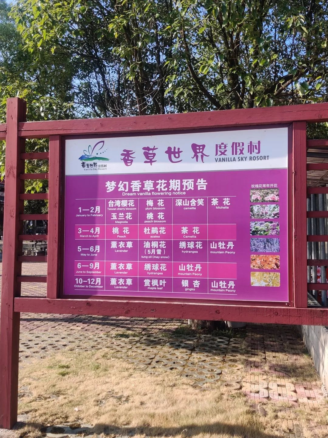 南安·仙境天柱山旅游度假区旅行图片