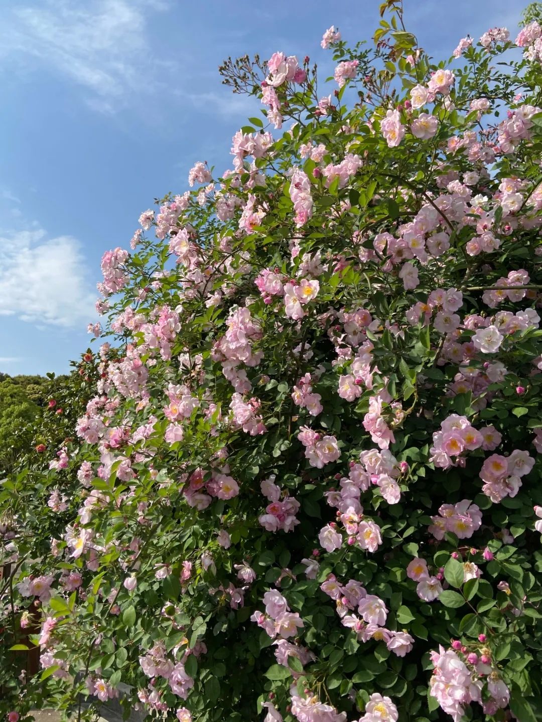 南安·仙境天柱山旅游度假区旅行图片 2