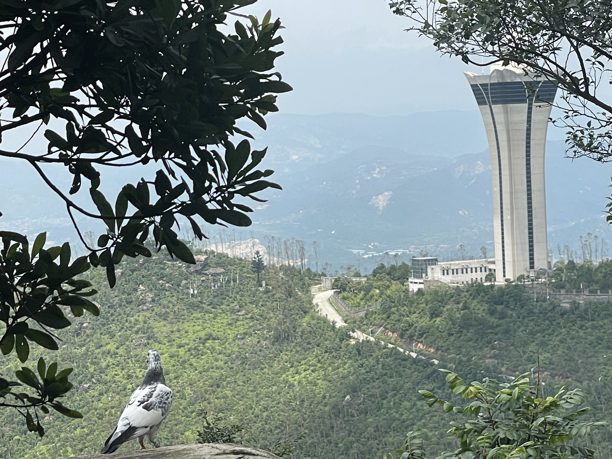 紫帽山旅游度假区旅行图片 2