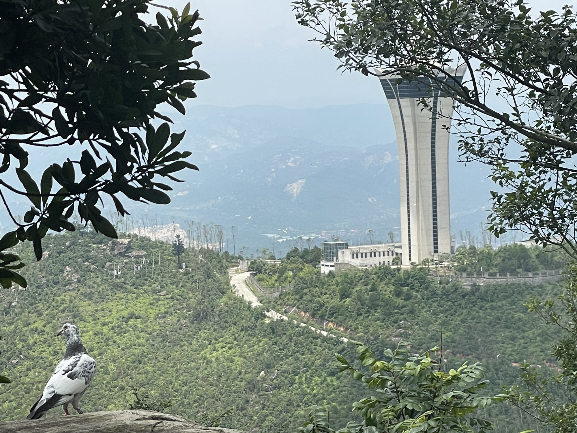 紫帽山旅游度假区旅行图片 1