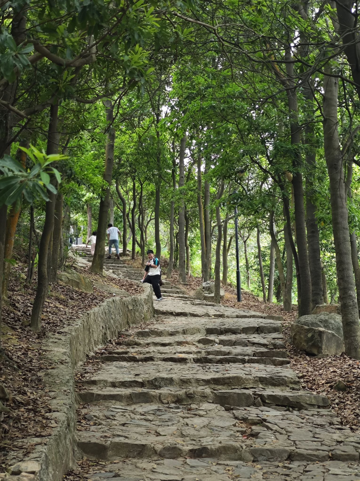 紫帽山旅游度假区旅行图片 1