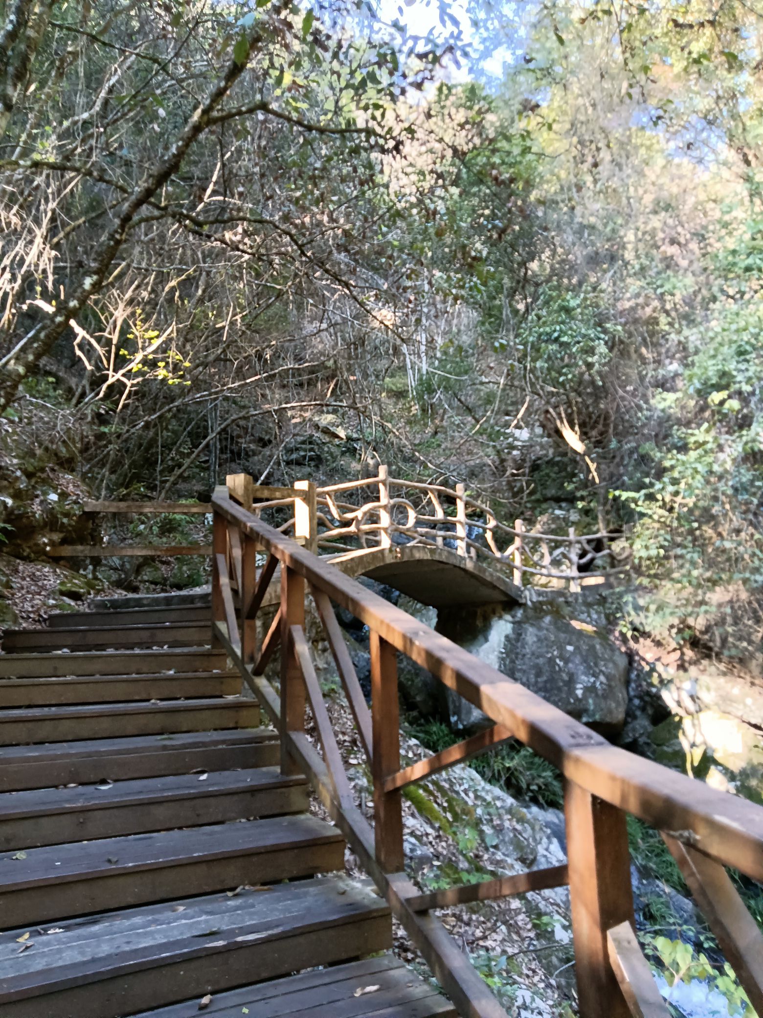 云河谷旅行图片 3