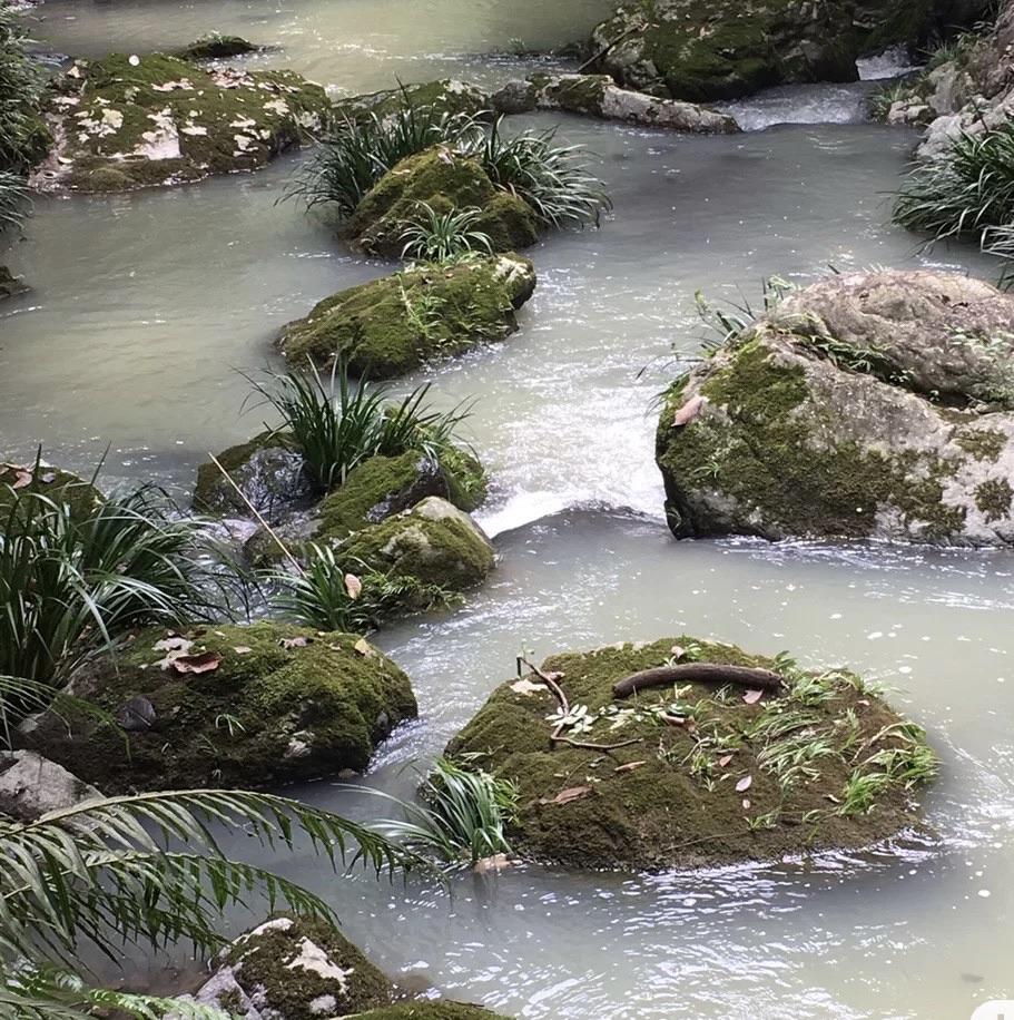 云河谷旅行图片 3