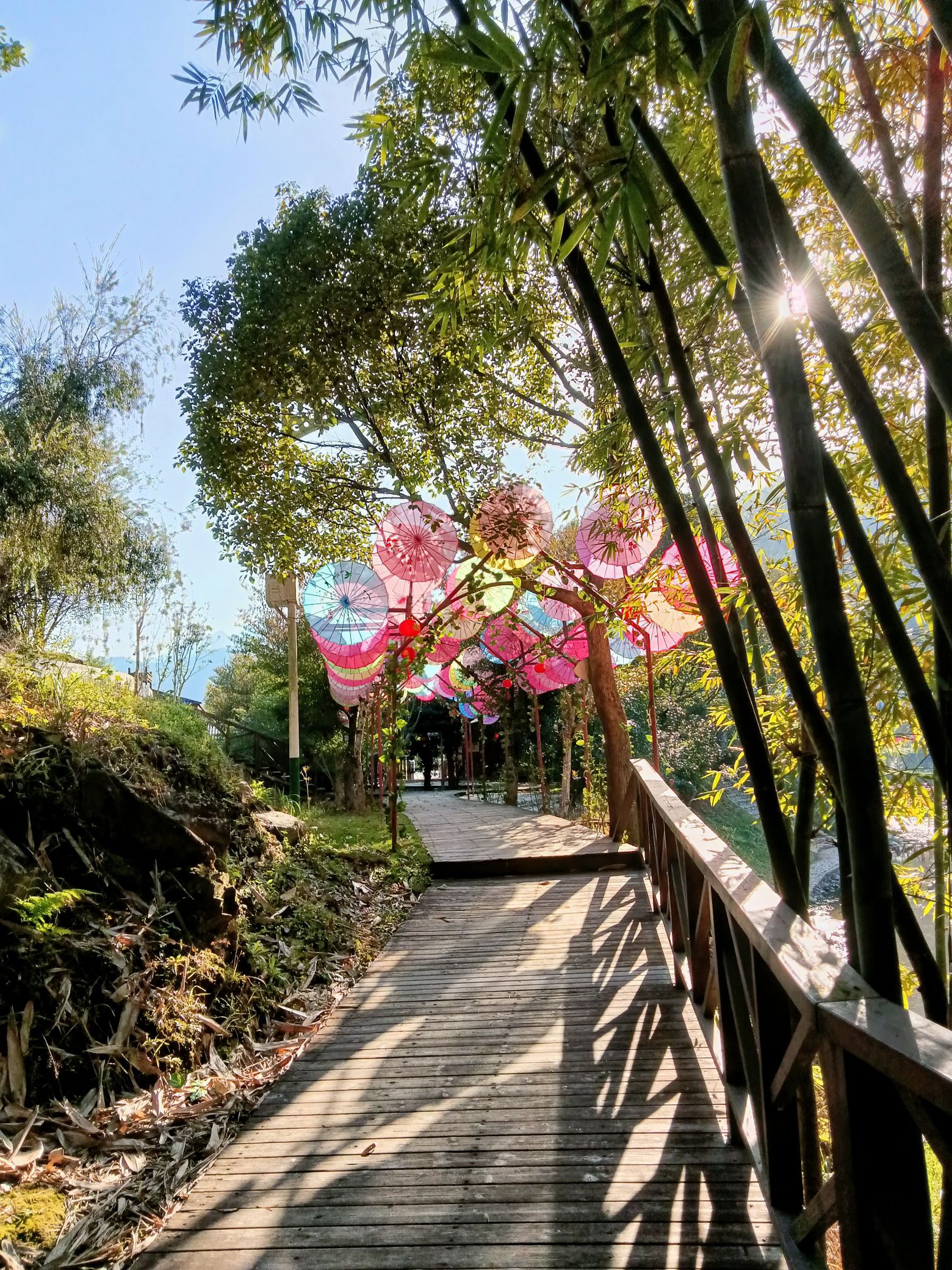 云河谷旅行图片 2