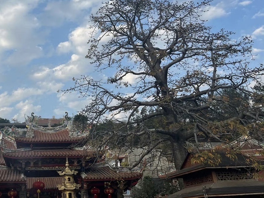 灵源山风景区旅行图片 3