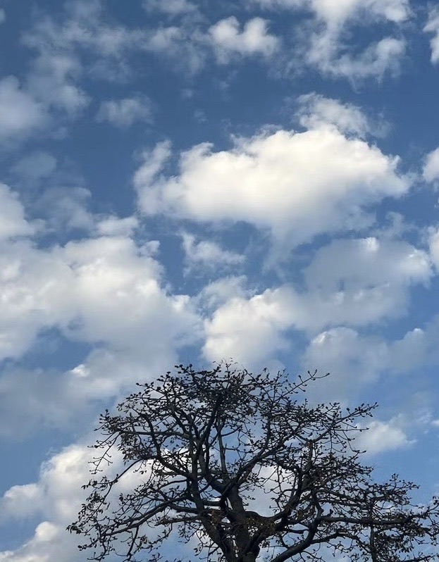 灵源山风景区旅行图片 1