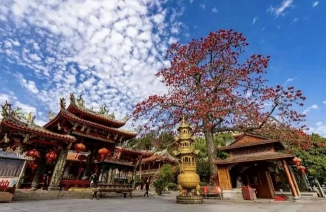 灵源山风景区旅行图片 3