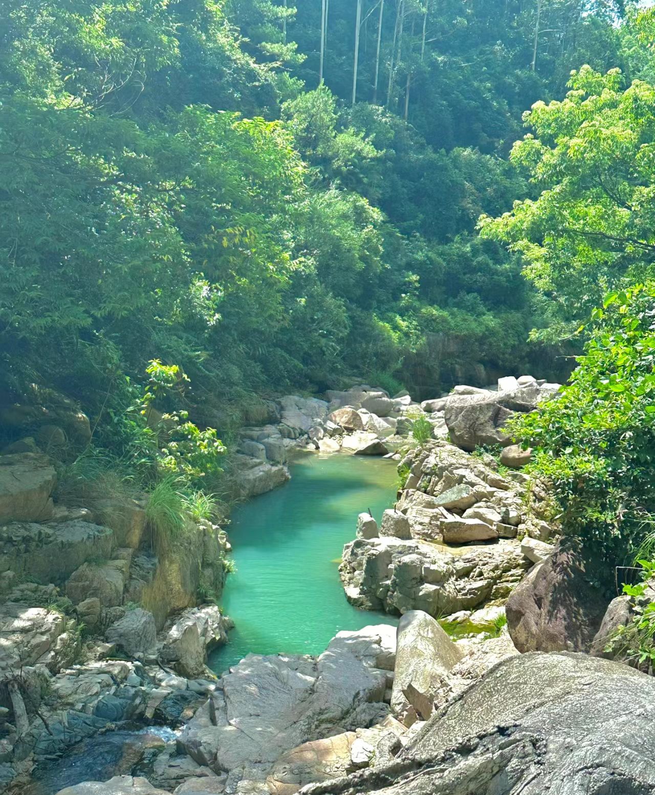 桃园玫瑰小镇旅行图片 3