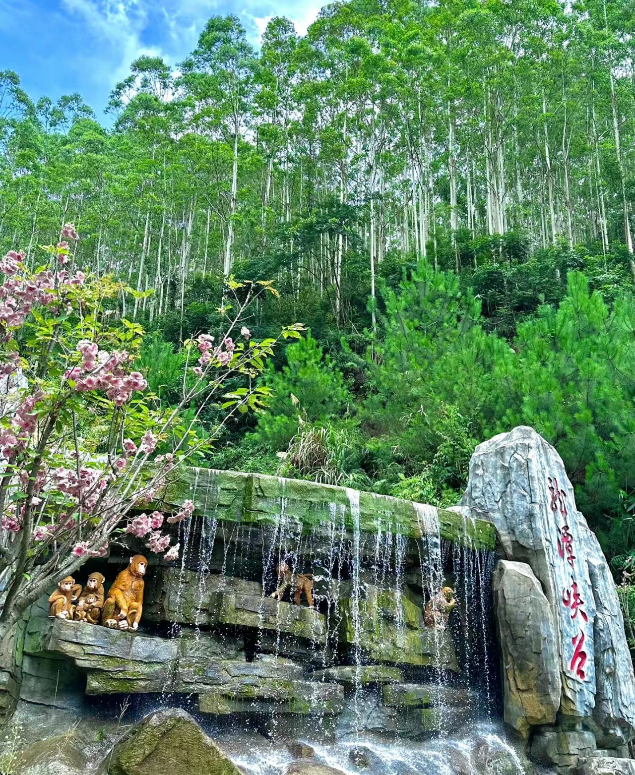桃园玫瑰小镇旅行图片 2
