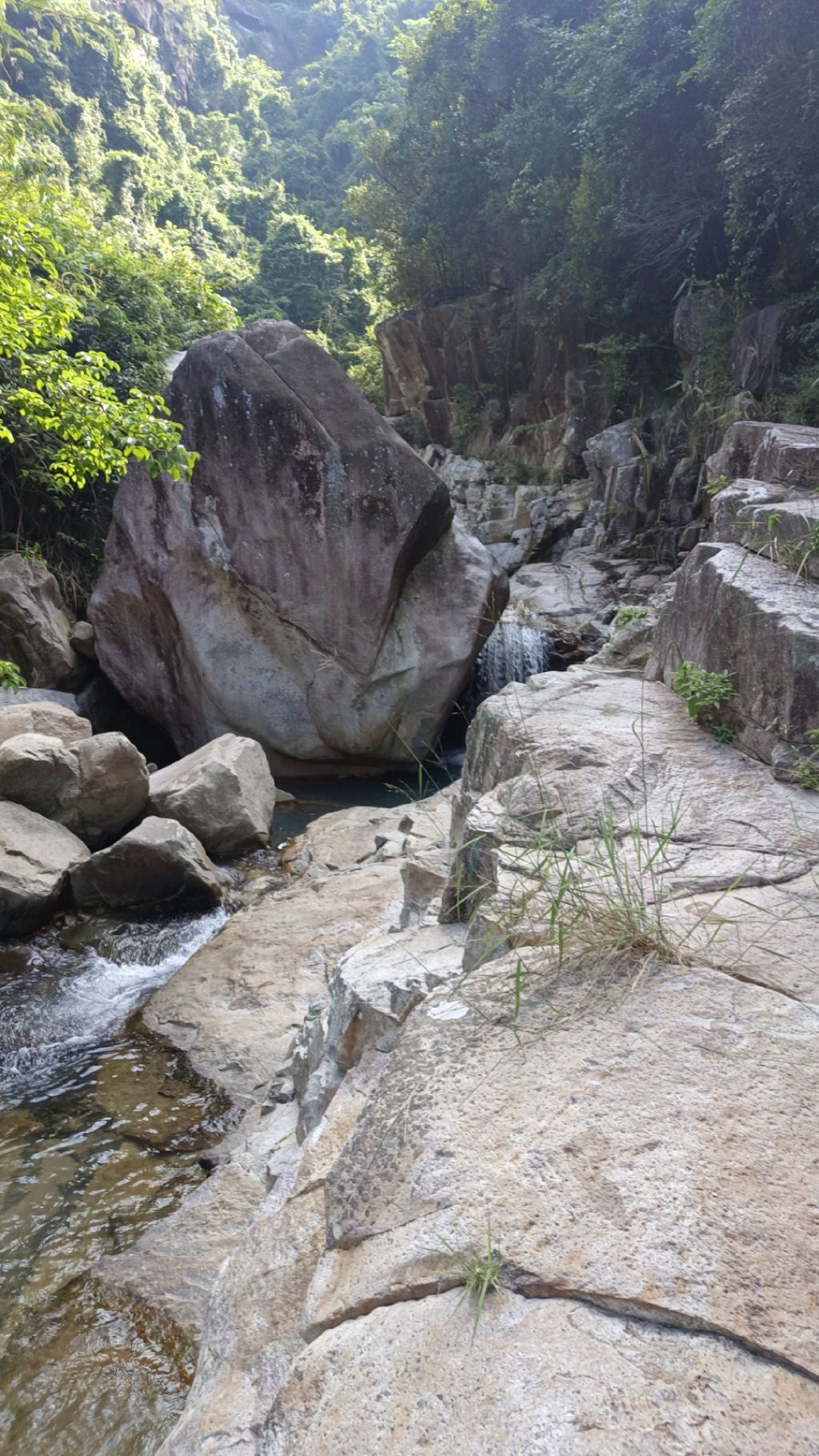 桃园玫瑰小镇旅行图片 3
