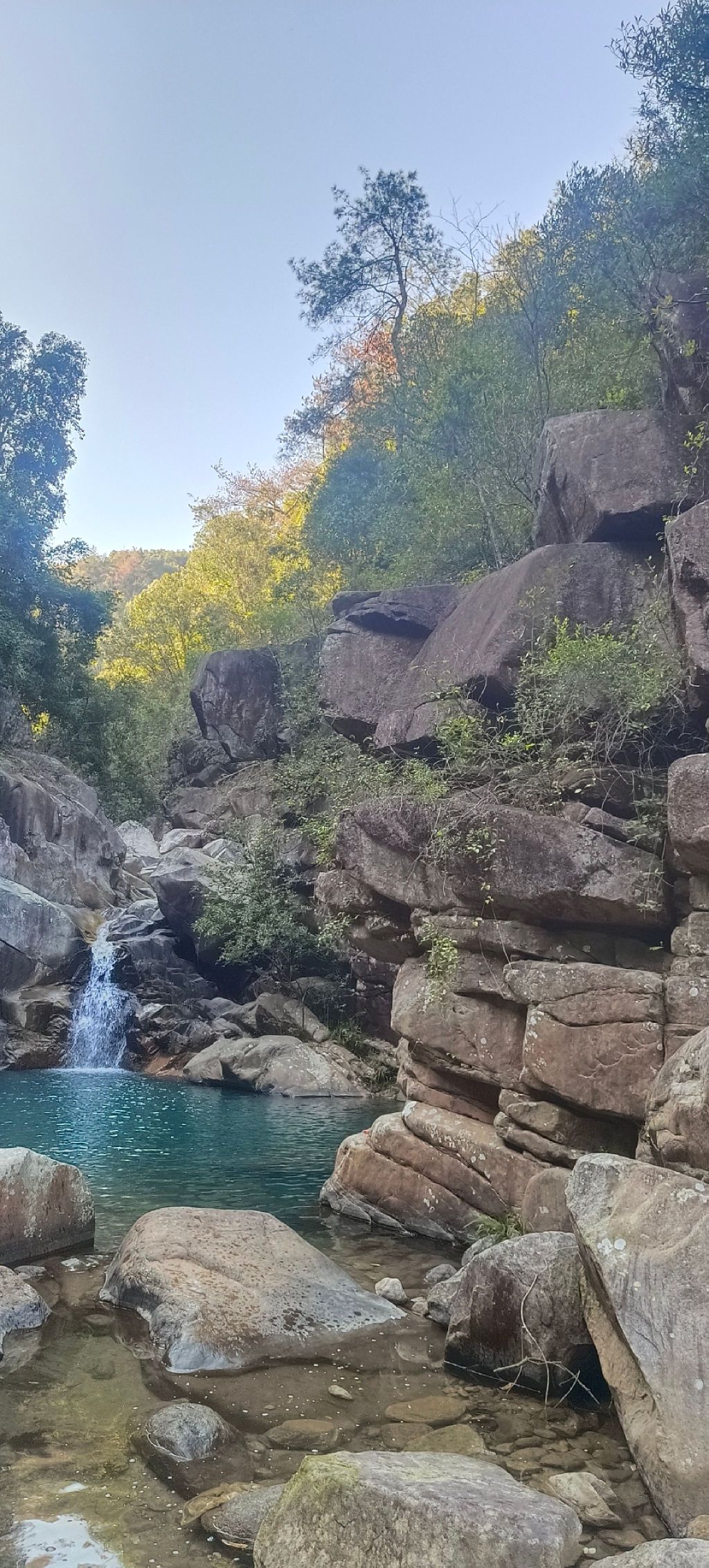 桃园玫瑰小镇旅行图片 2