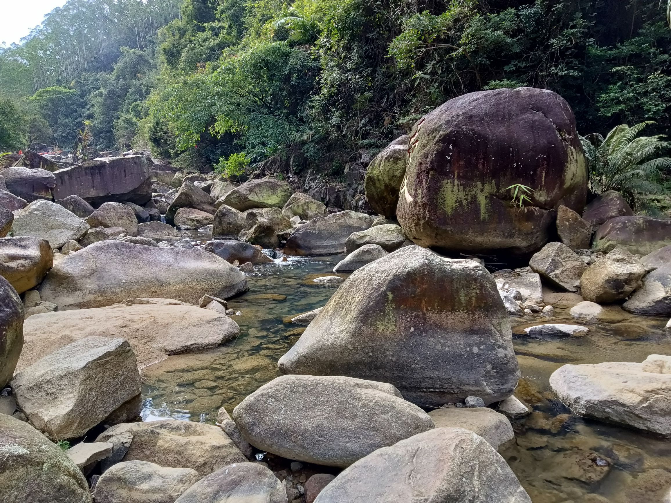 桃园玫瑰小镇旅行图片 3