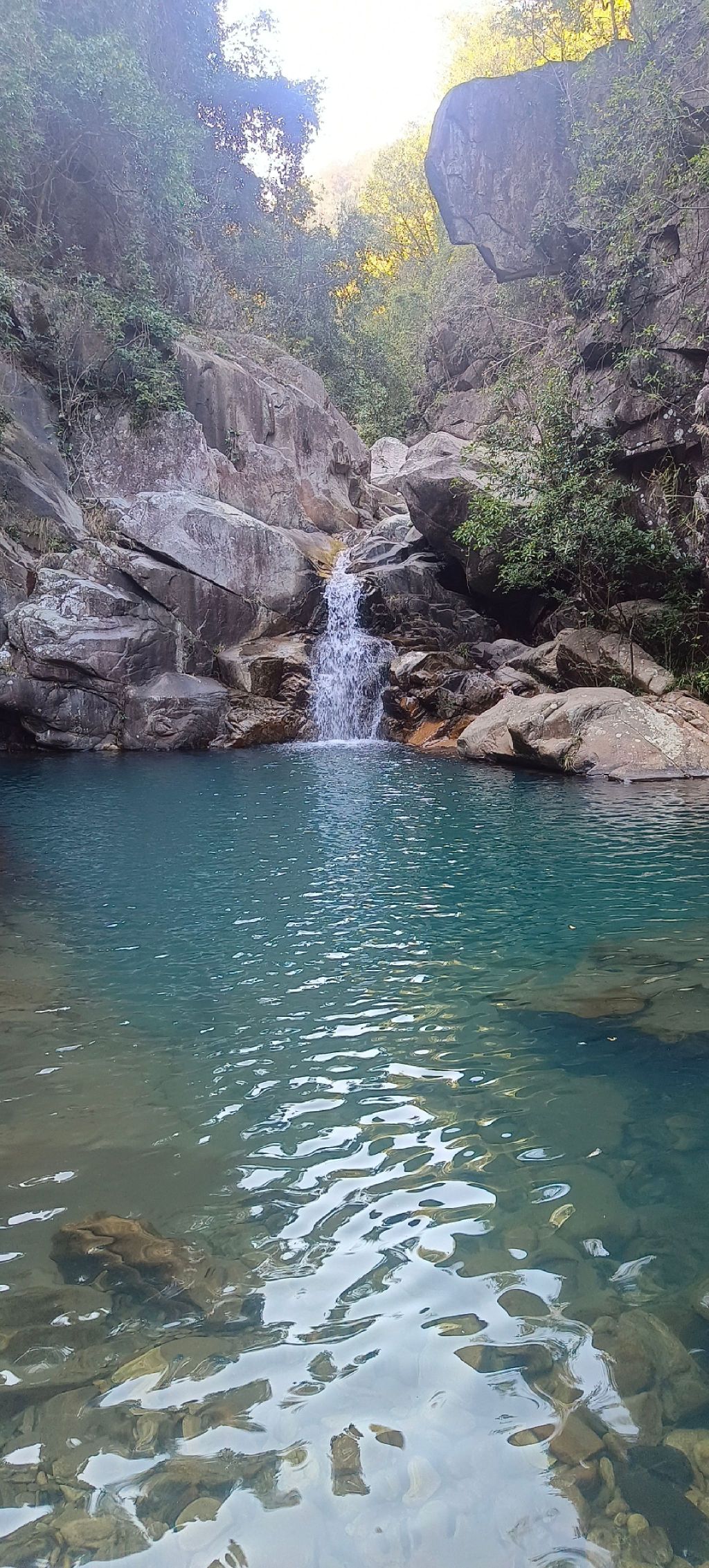 桃园玫瑰小镇旅行图片 1