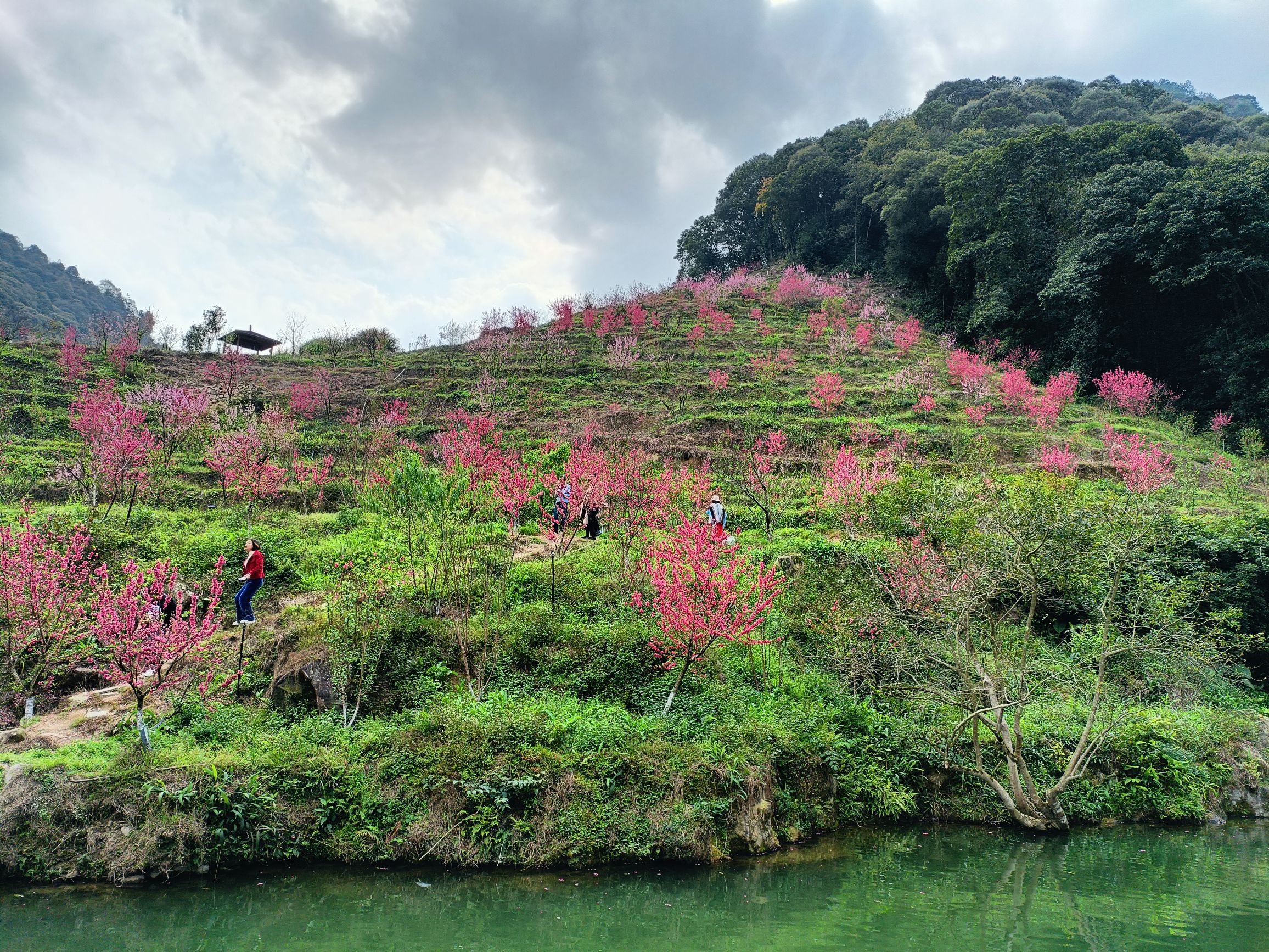 北溪文苑旅行图片 2