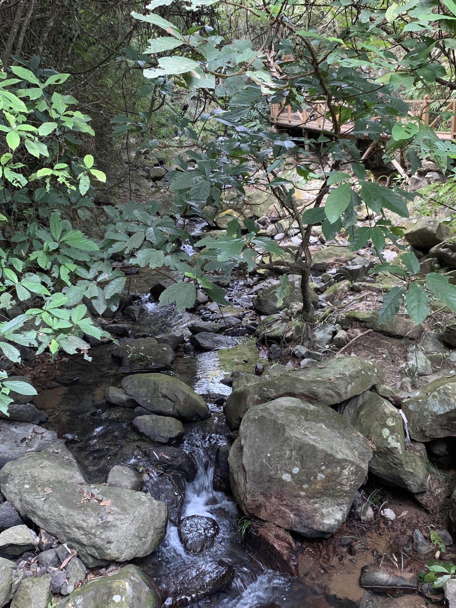 北溪文苑旅行图片 3