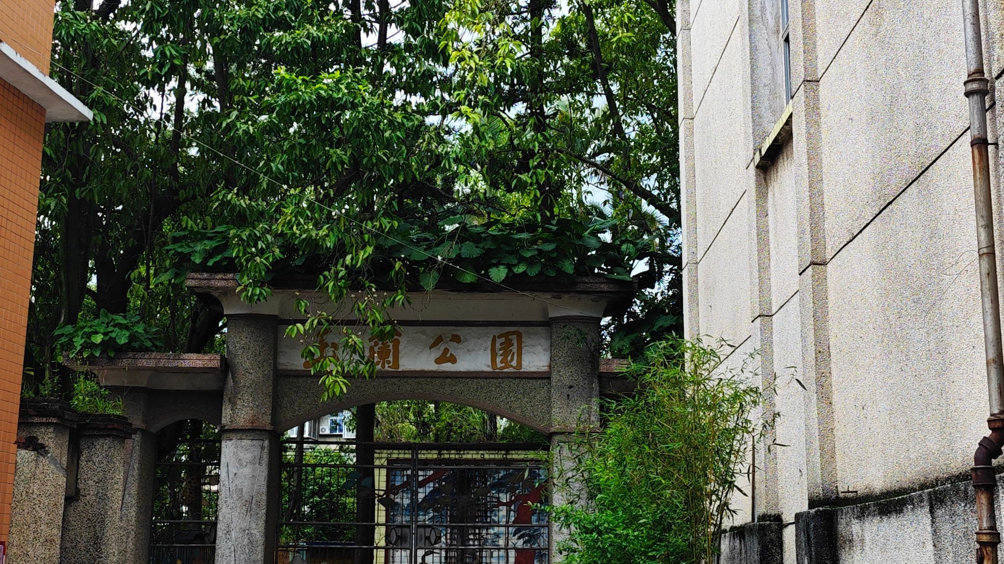 玉兰公园旅行图片 1