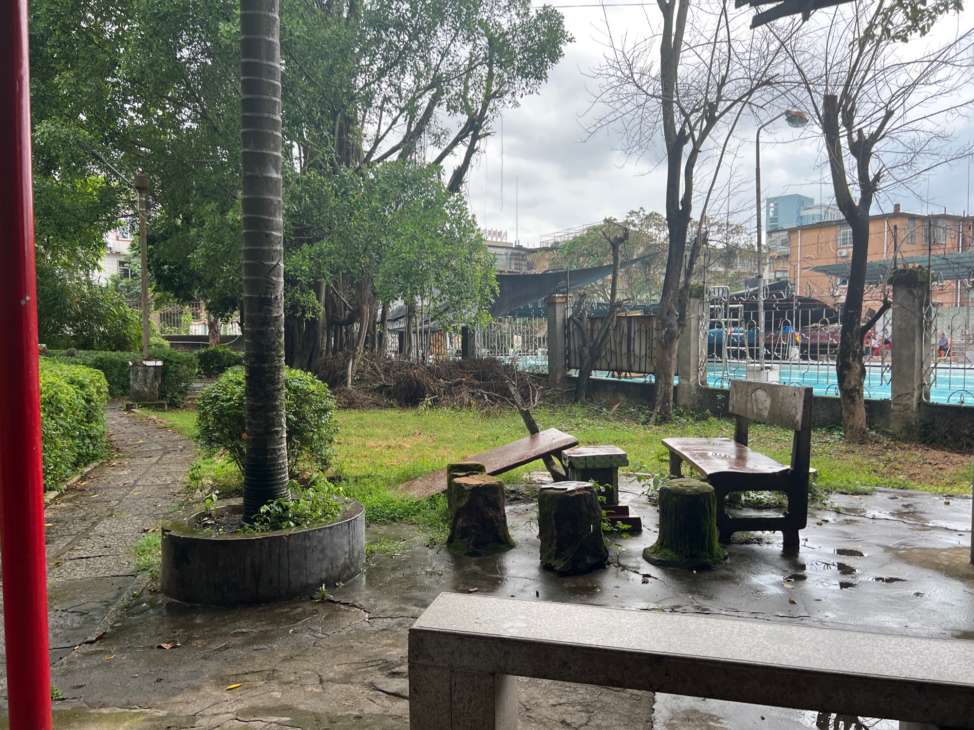 玉兰公园旅行图片 1