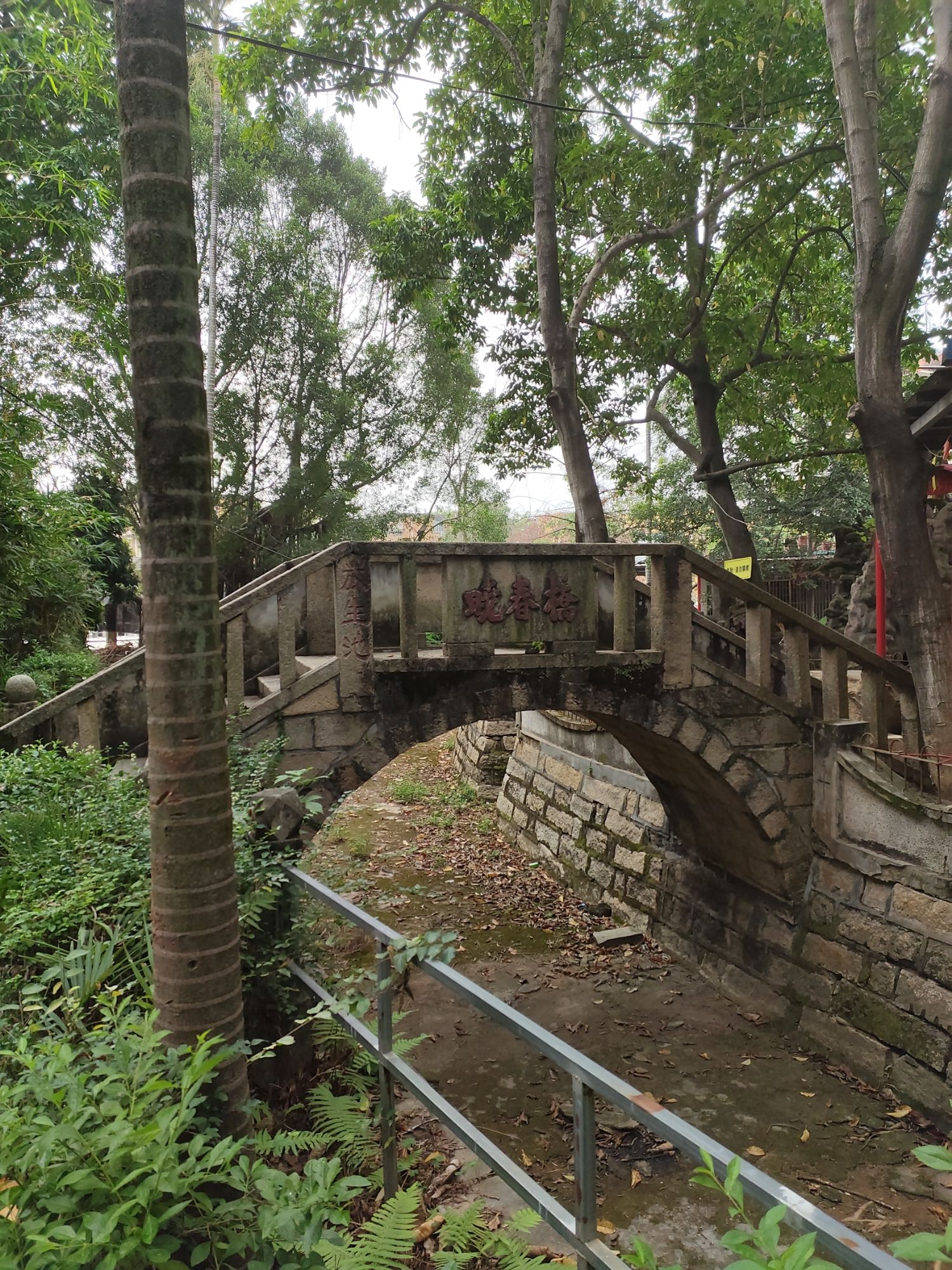玉兰公园旅行图片 3