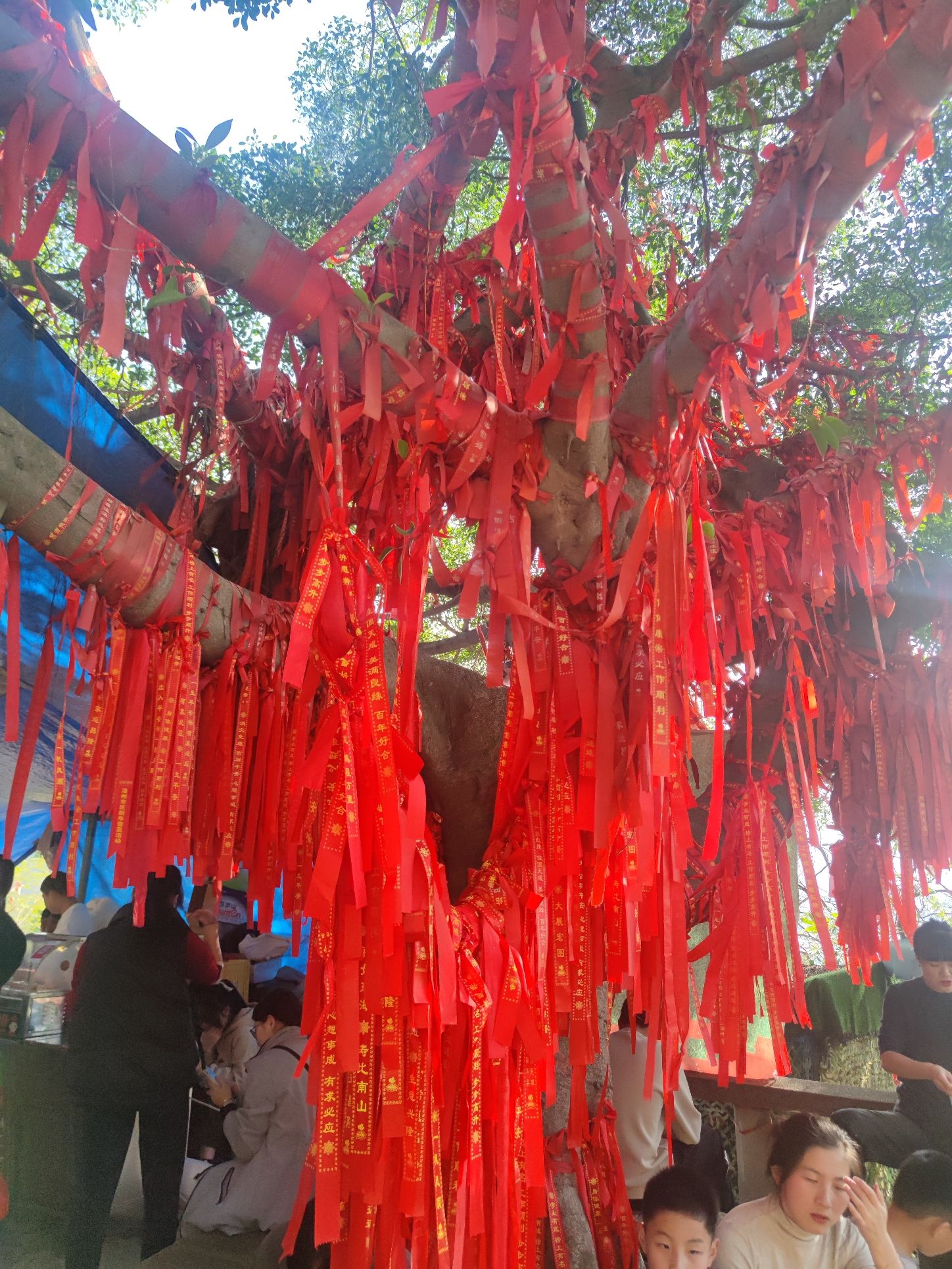 漳州云洞岩风景区旅行图片 3