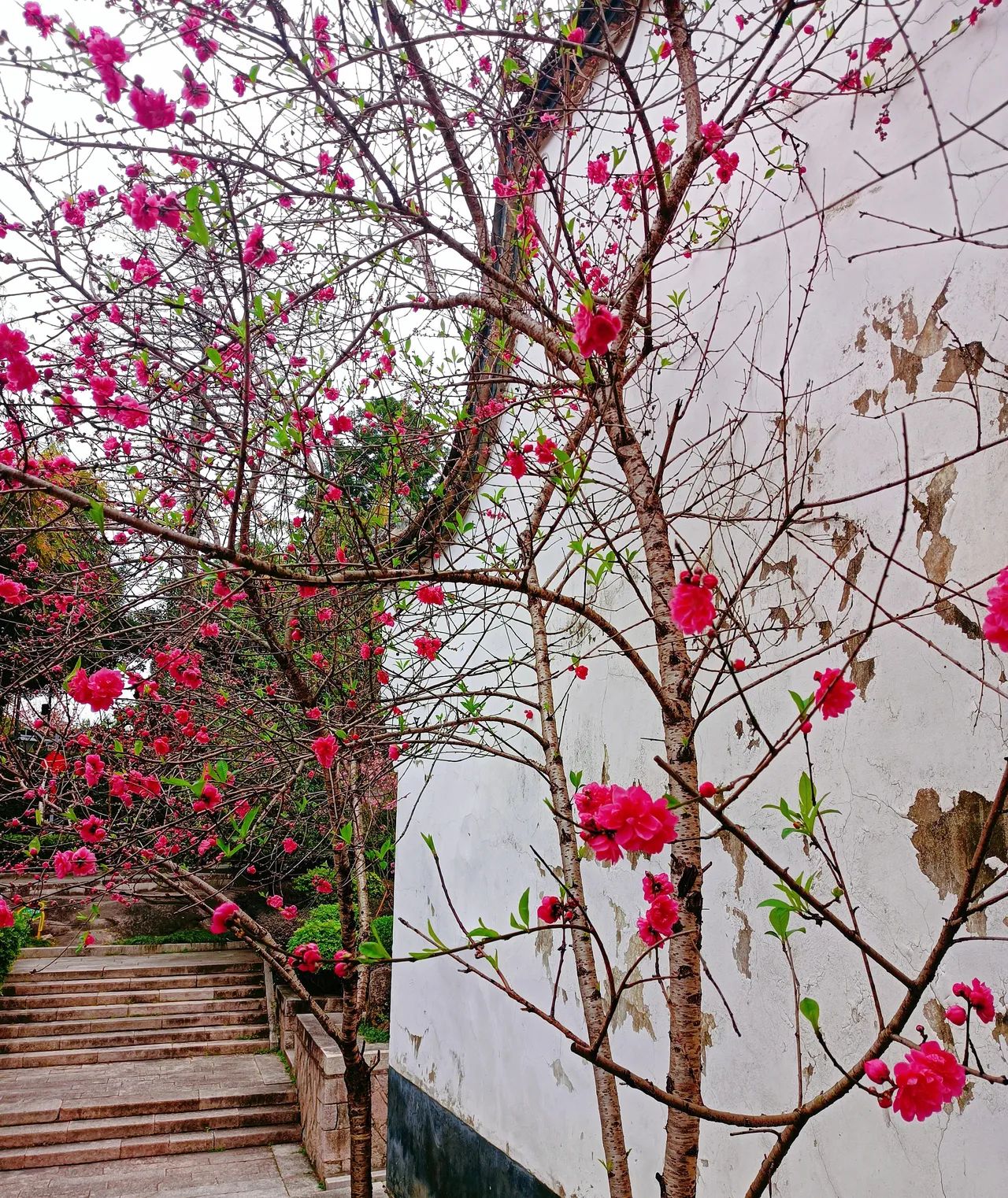 乌山风景名胜区旅行图片 2