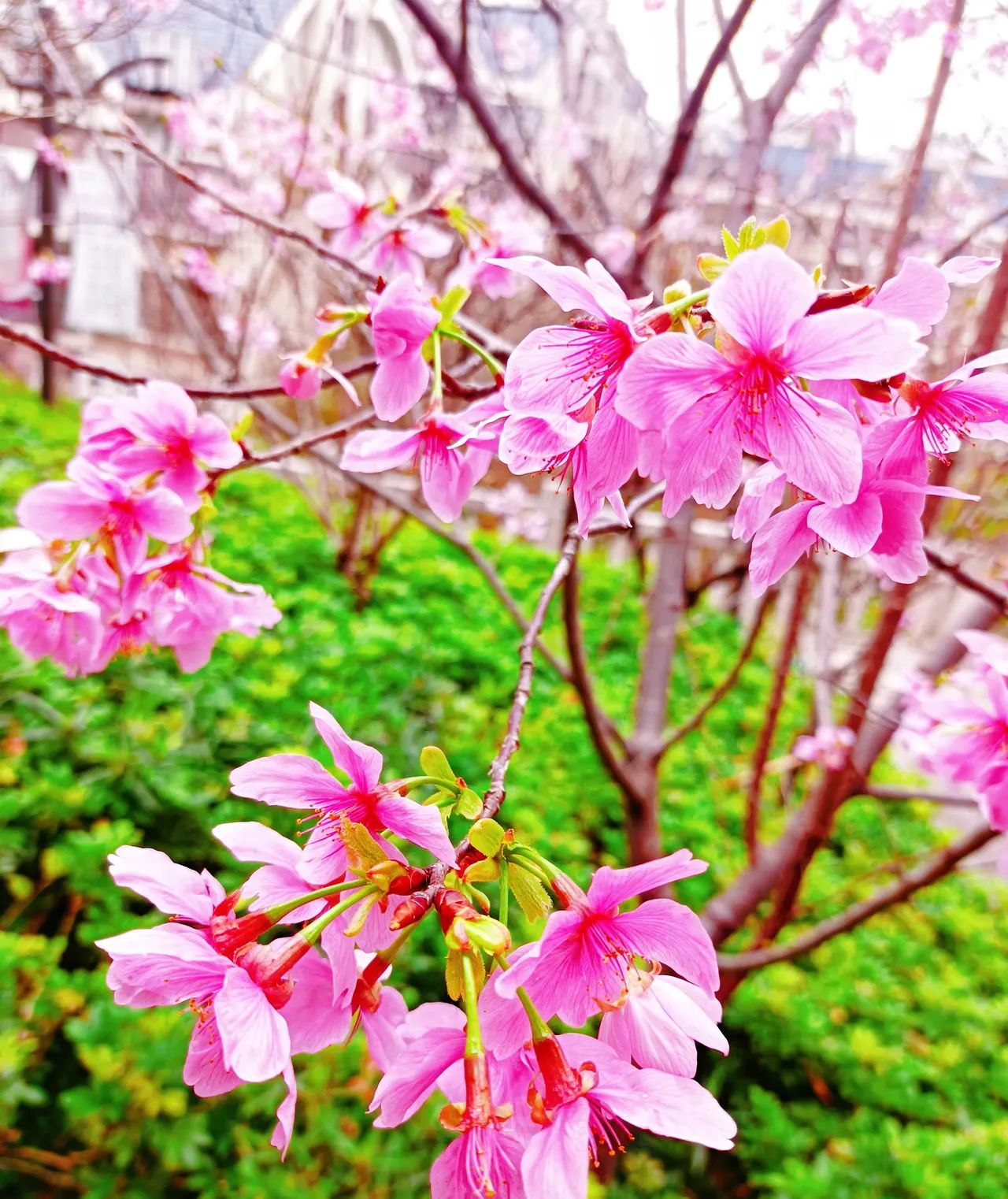 乌山风景名胜区旅行图片 3