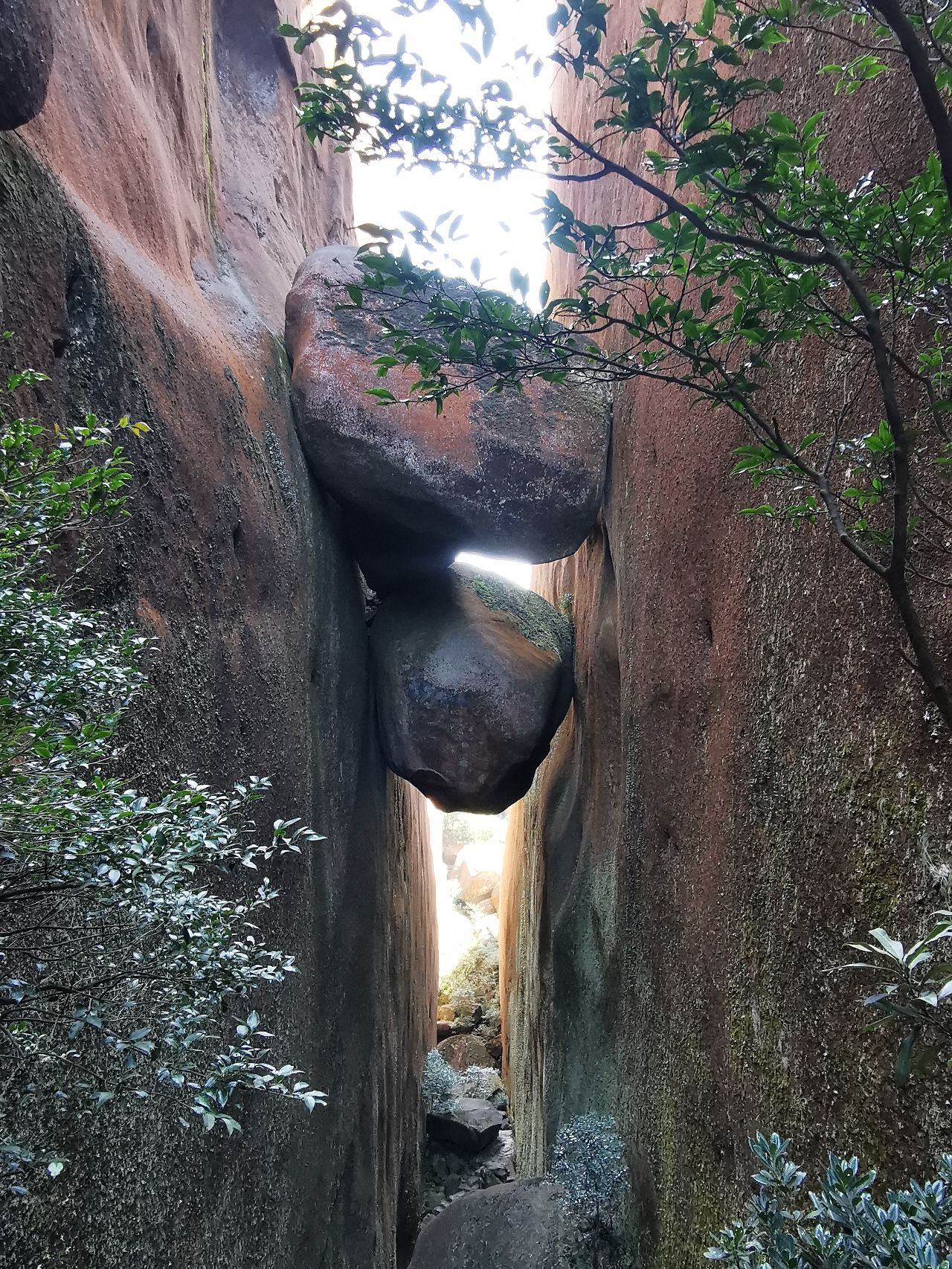 乌山风景名胜区旅行图片 3